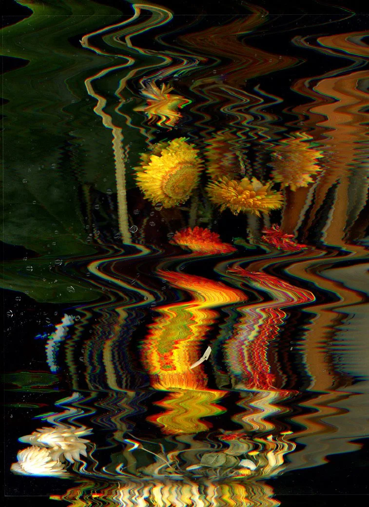 2AF06B79-8E1C-4ECA-AA5E-1F62167A9897_1_105_c.jpeg