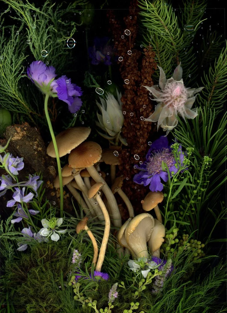 Underwater scene with purple and white flowers, green foliage, mushrooms, and bubbles. Captured using scanography. 