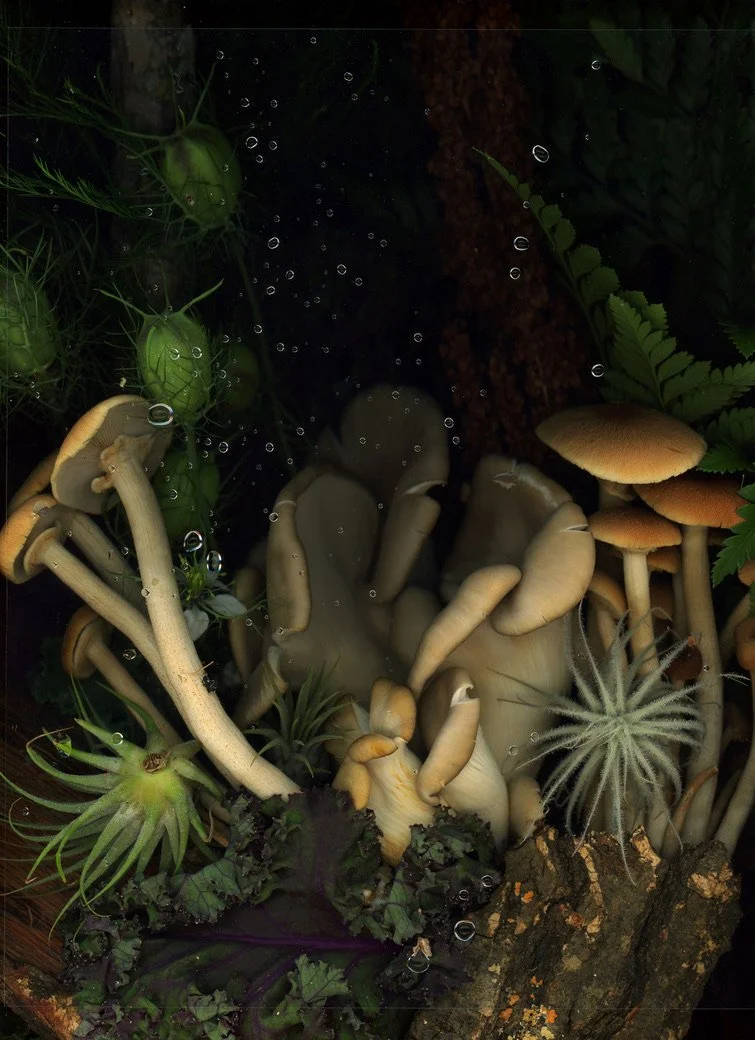Group of various mushrooms growing on a piece of wood, surrounded by green plants and ferns. Captured using scanography. 