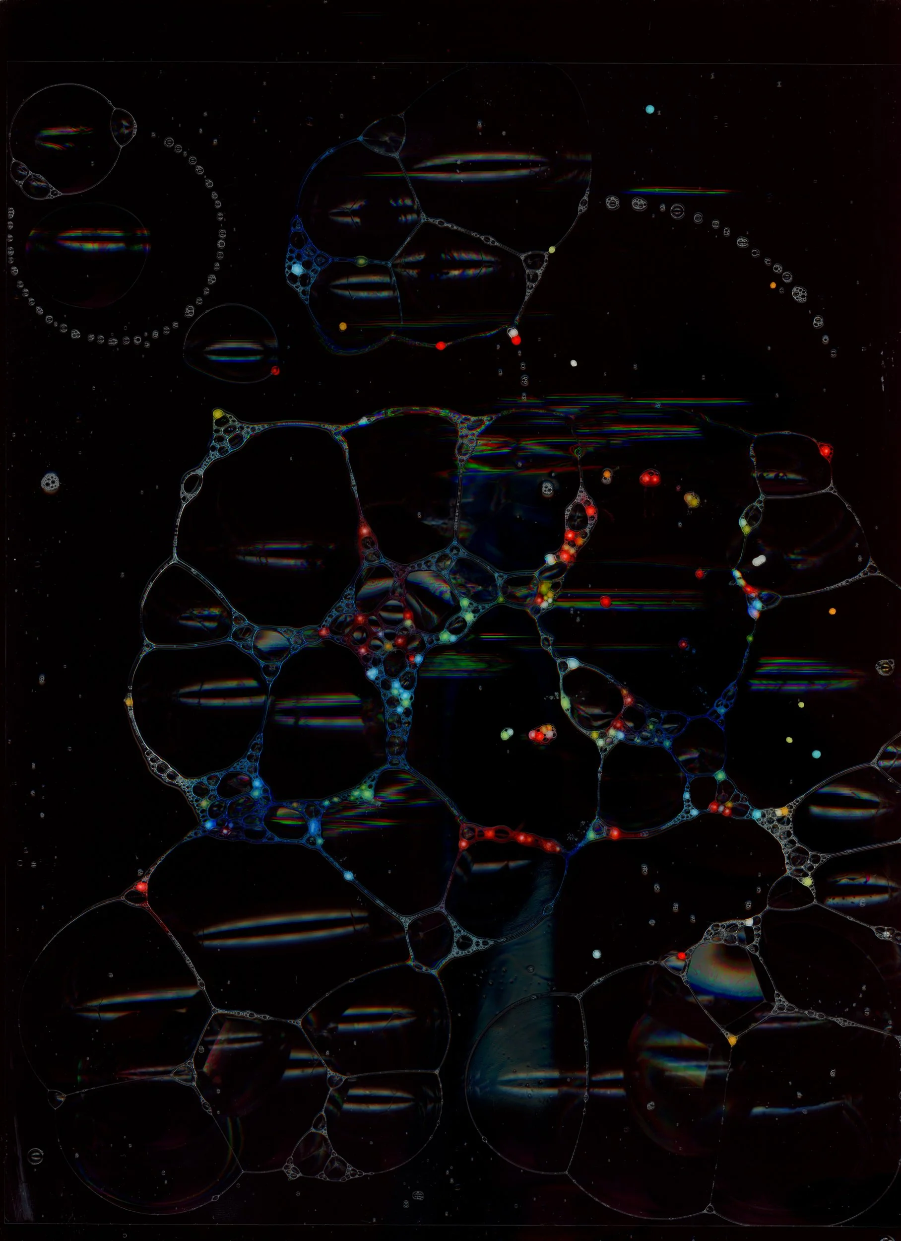 HN-RadScanz-PlzDontStealMyShit-BTS-NovemberFlowers_Day2_Scans2_Cookies_-37.jpg