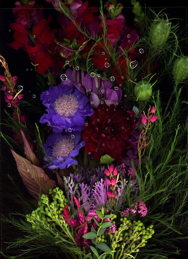 Arrangement of colorful flowers including purple, red, pink, and green plants with water droplets on some leaves and petals. Captured using scanography. 