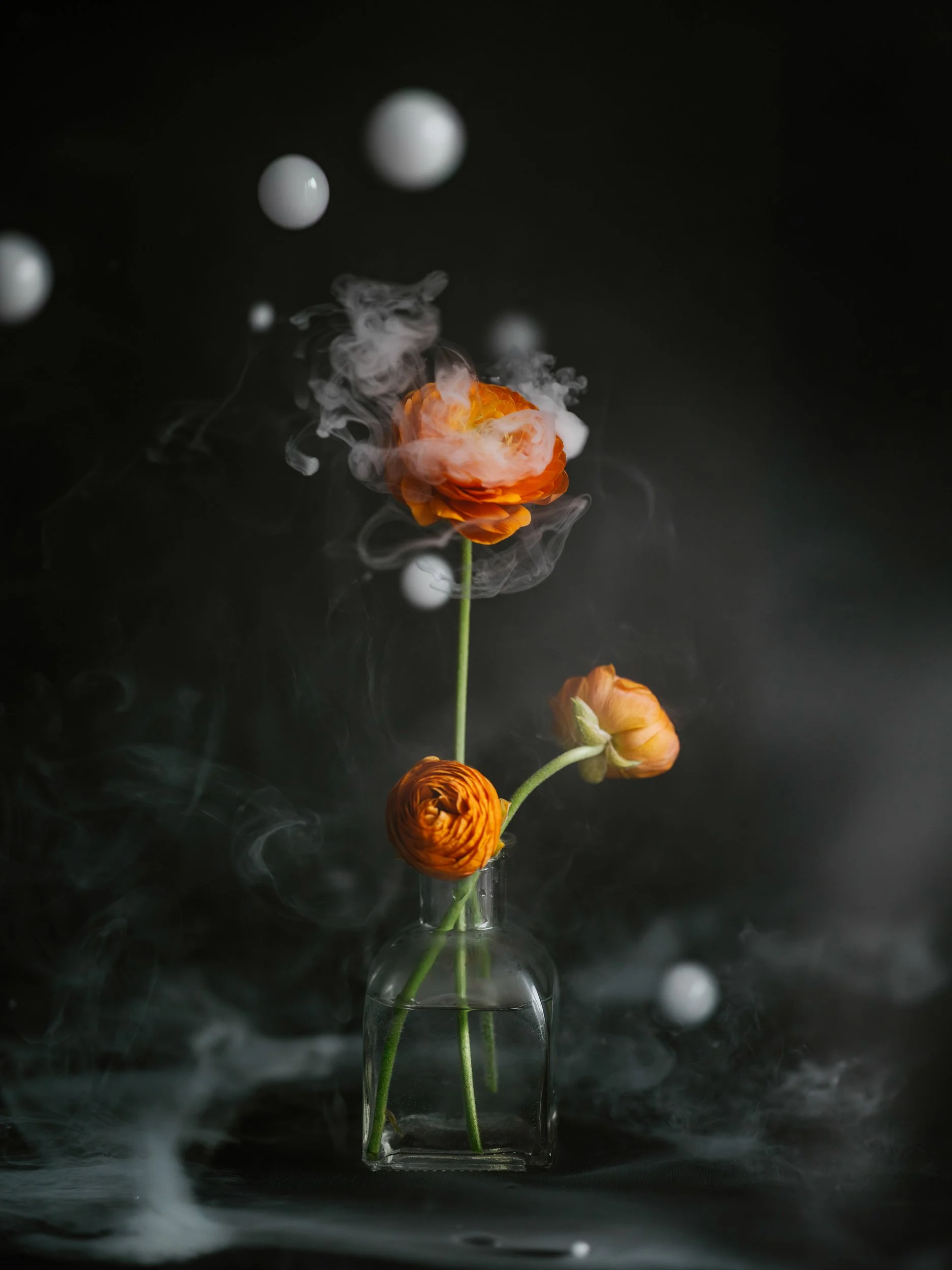 Haley_Nelson_Flower_Smoke_Final_Hasselblad_Content_Fine_Art_1_web-11.jpg