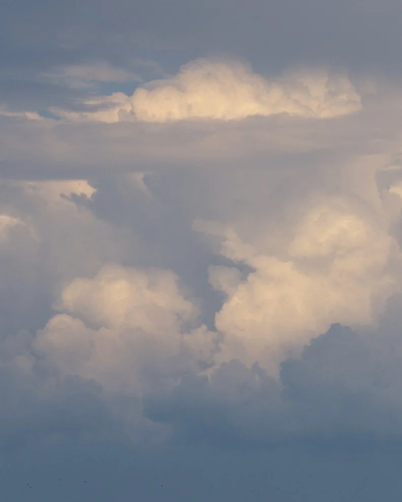C2F54551-A011-4638-B9F8-D08CB651C460_1_105_c.jpeg