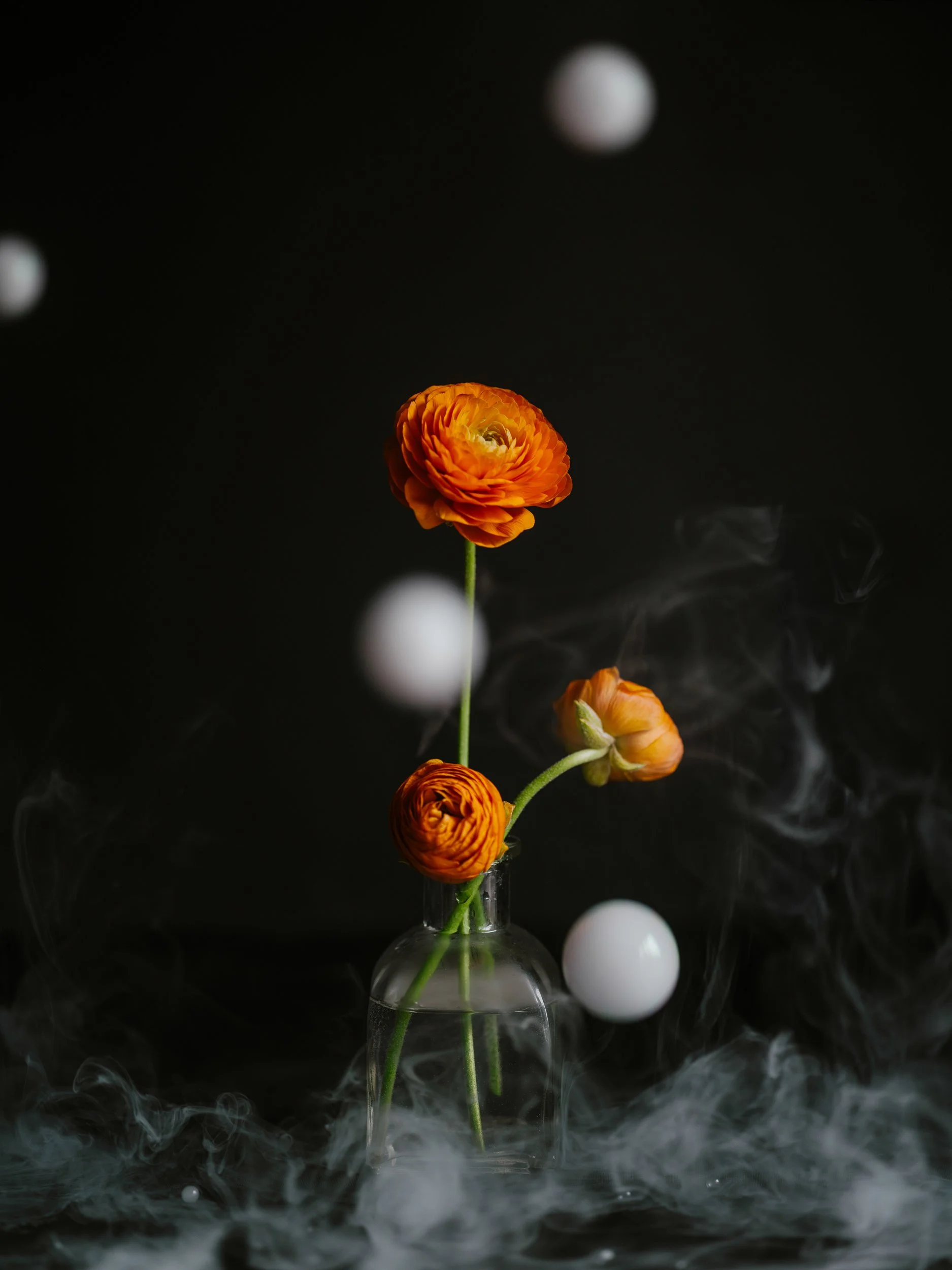 Haley_Nelson_Flower_Smoke_Final_Hasselblad_Content_Fine_Art_1_web-10.jpg
