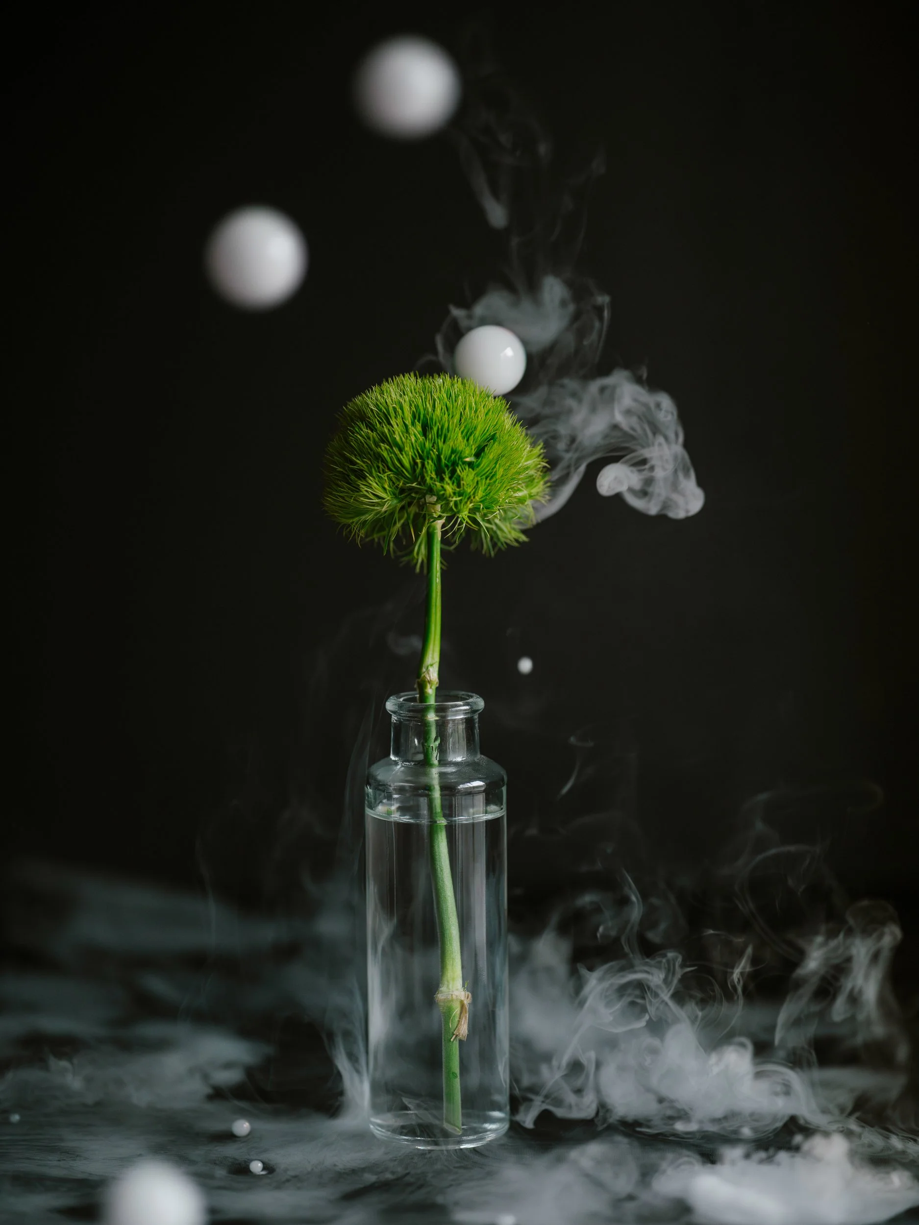 Haley_Nelson_Flower_Smoke_Final_Hasselblad_Content_Fine_Art_1_web-13.jpg