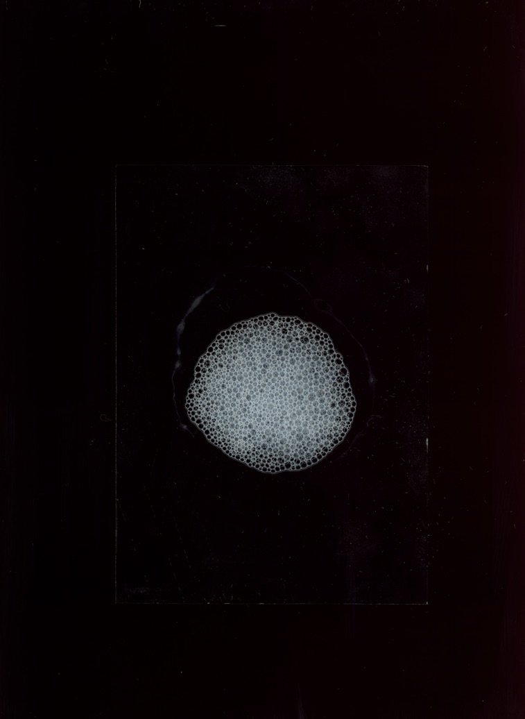 C1207F60-CA63-4B00-965D-03F22A12FAC9_1_105_c.jpeg
