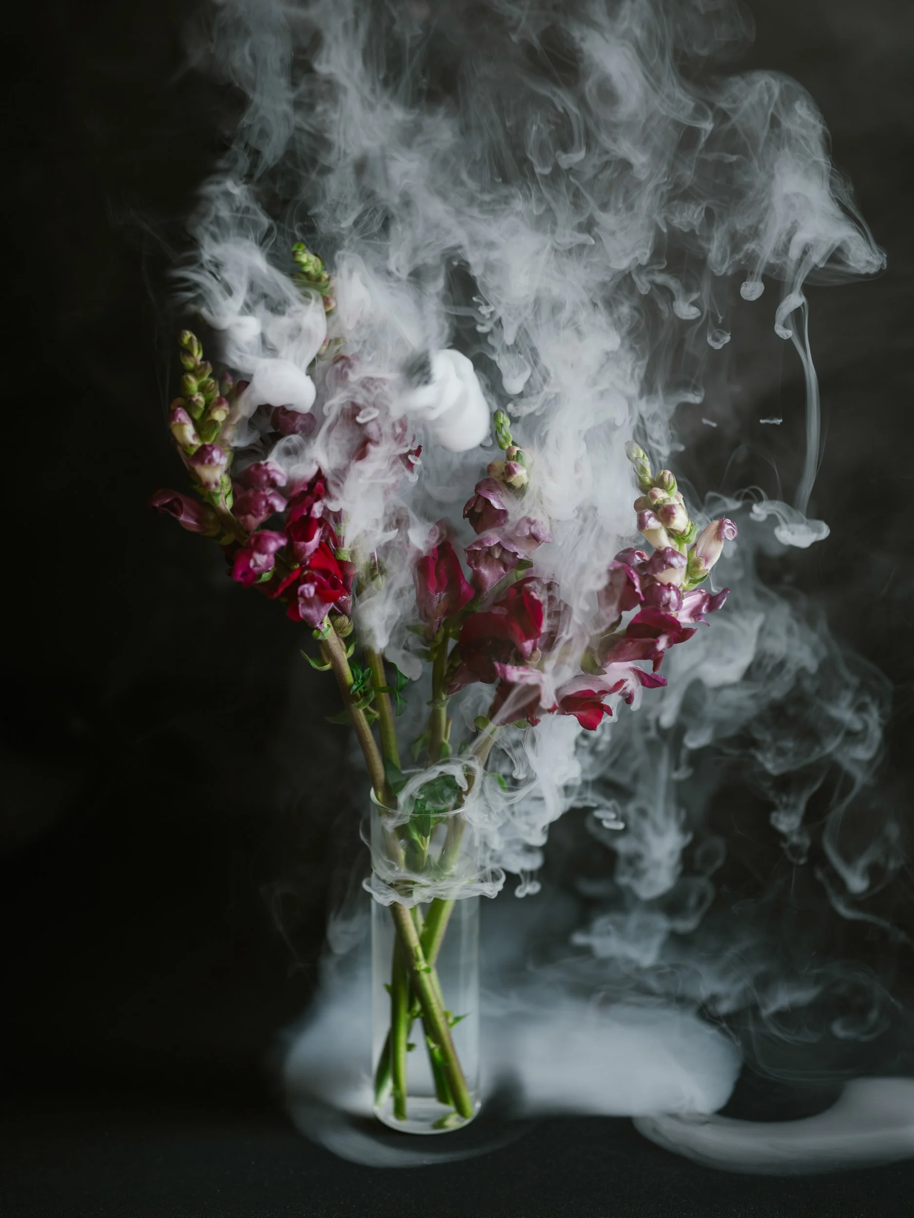 Haley_Nelson_Flower_Smoke_Final_Hasselblad_Content_Fine_Art_1_web-1.jpg