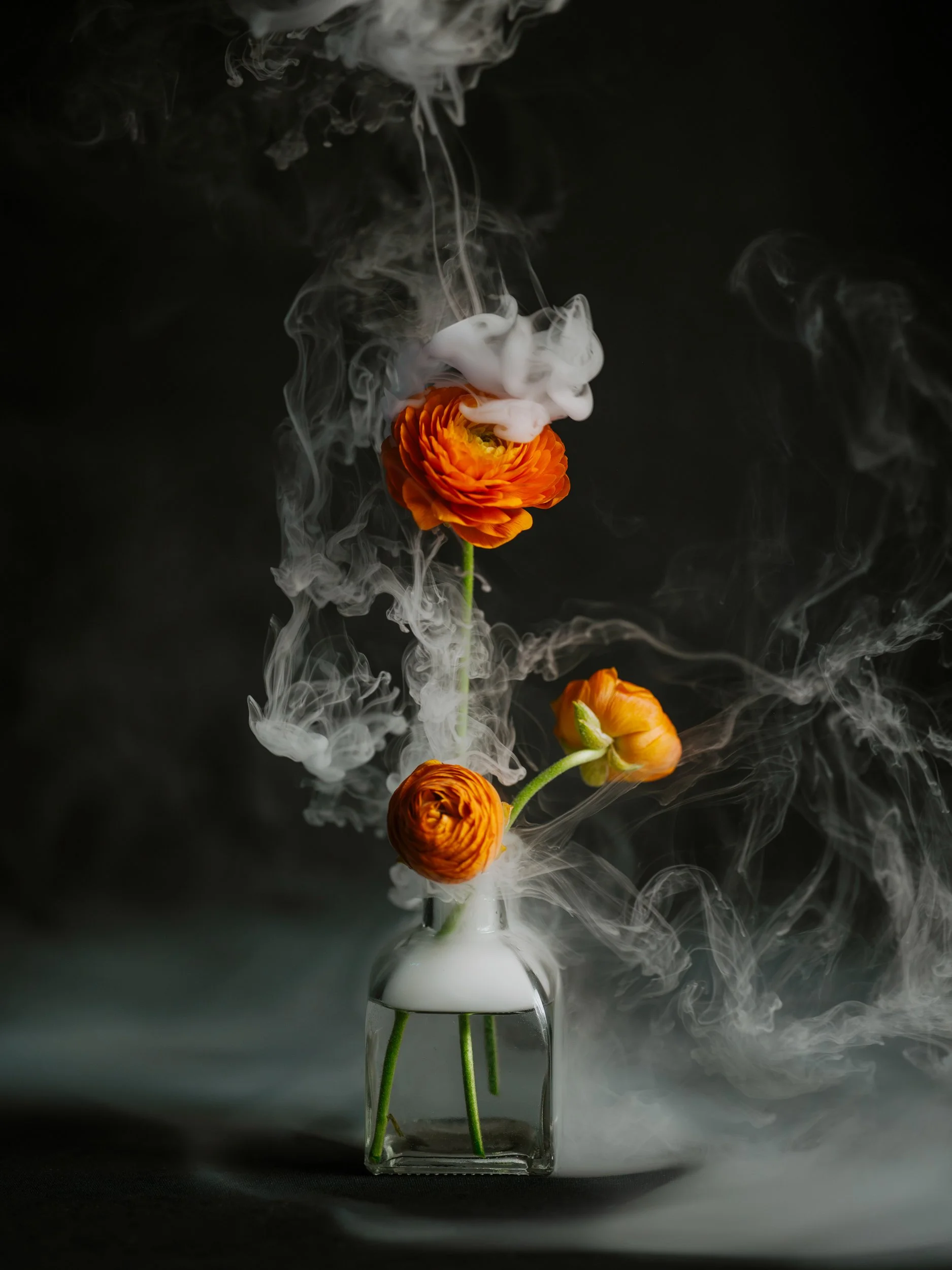 Haley_Nelson_Flower_Smoke_Final_Hasselblad_Content_Fine_Art_1_web-9.jpg