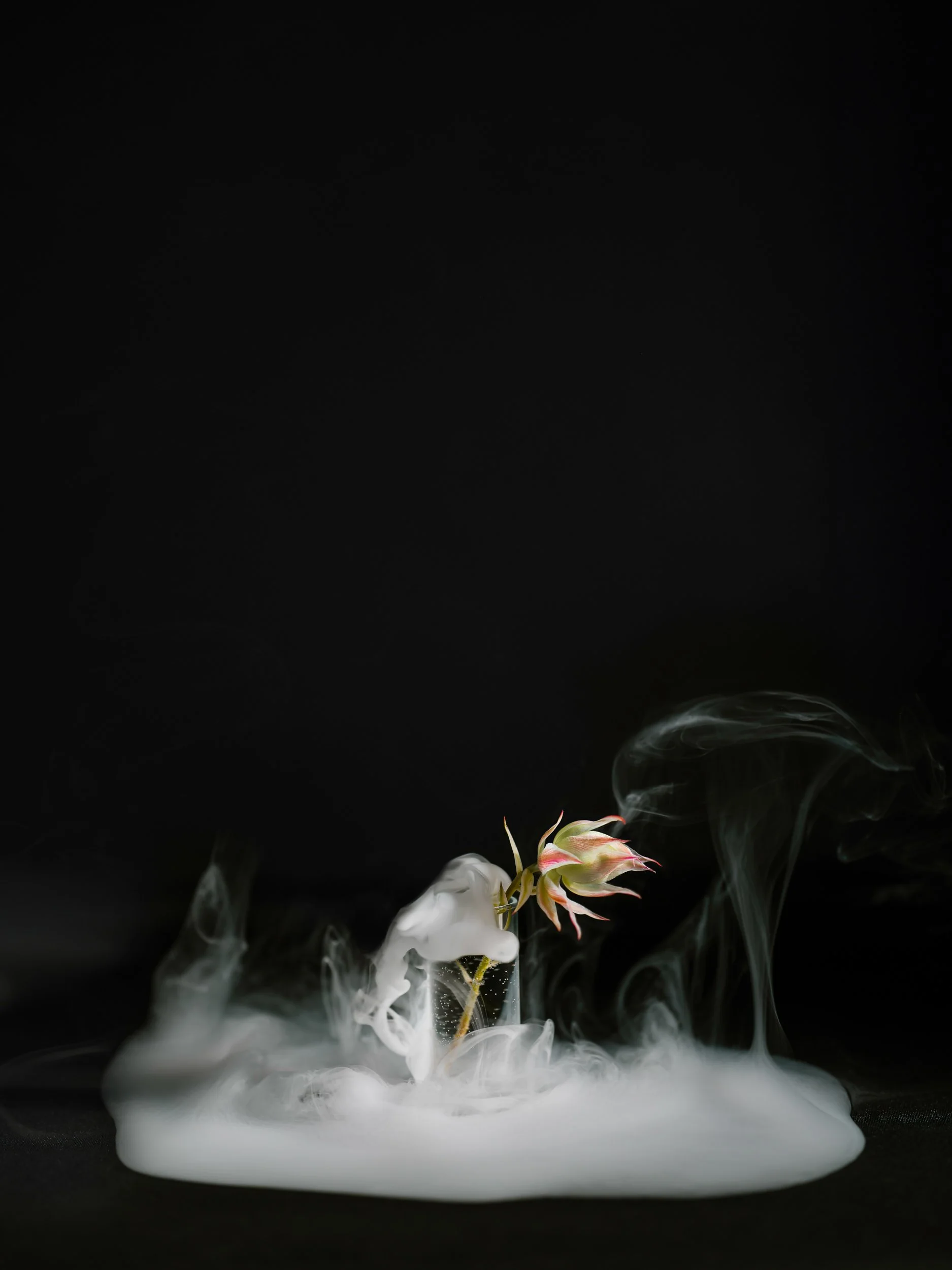 Haley_Nelson_Flower_Smoke_Final_Hasselblad_Content_Fine_Art_1_web-5.jpg