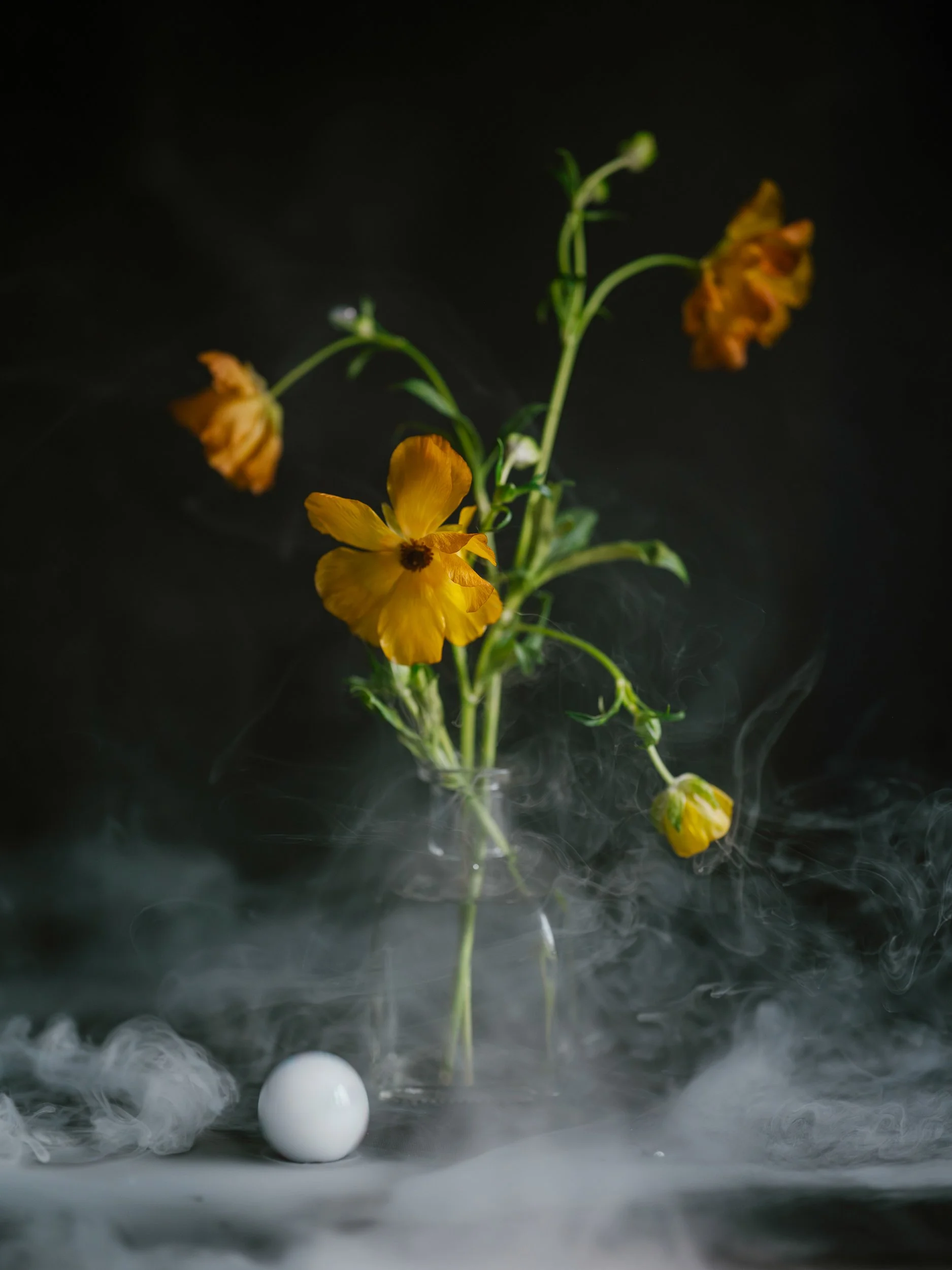 Haley_Nelson_Flower_Smoke_Final_Hasselblad_Content_Fine_Art_1_web-7.jpg