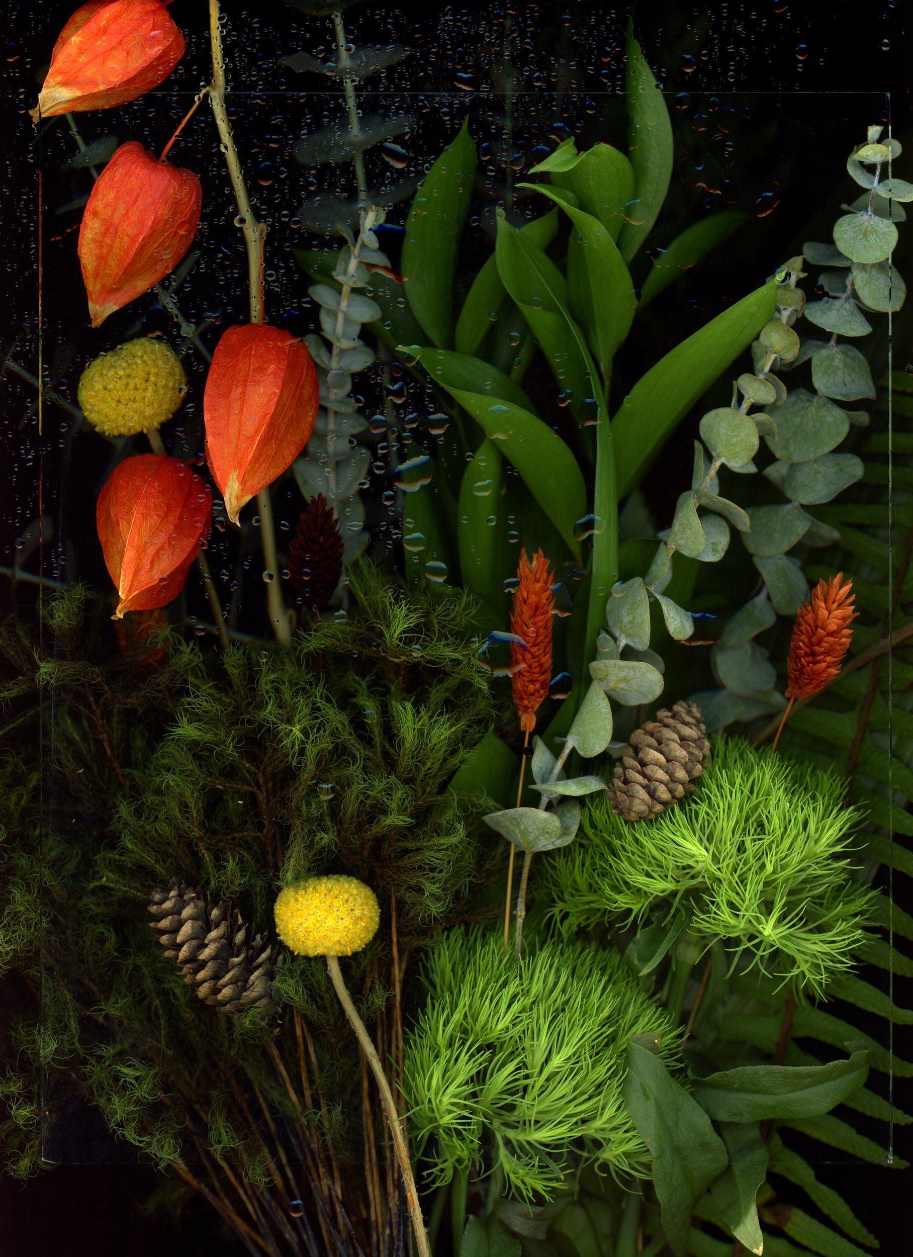 hfc_scan_20250702_18591895.jpg