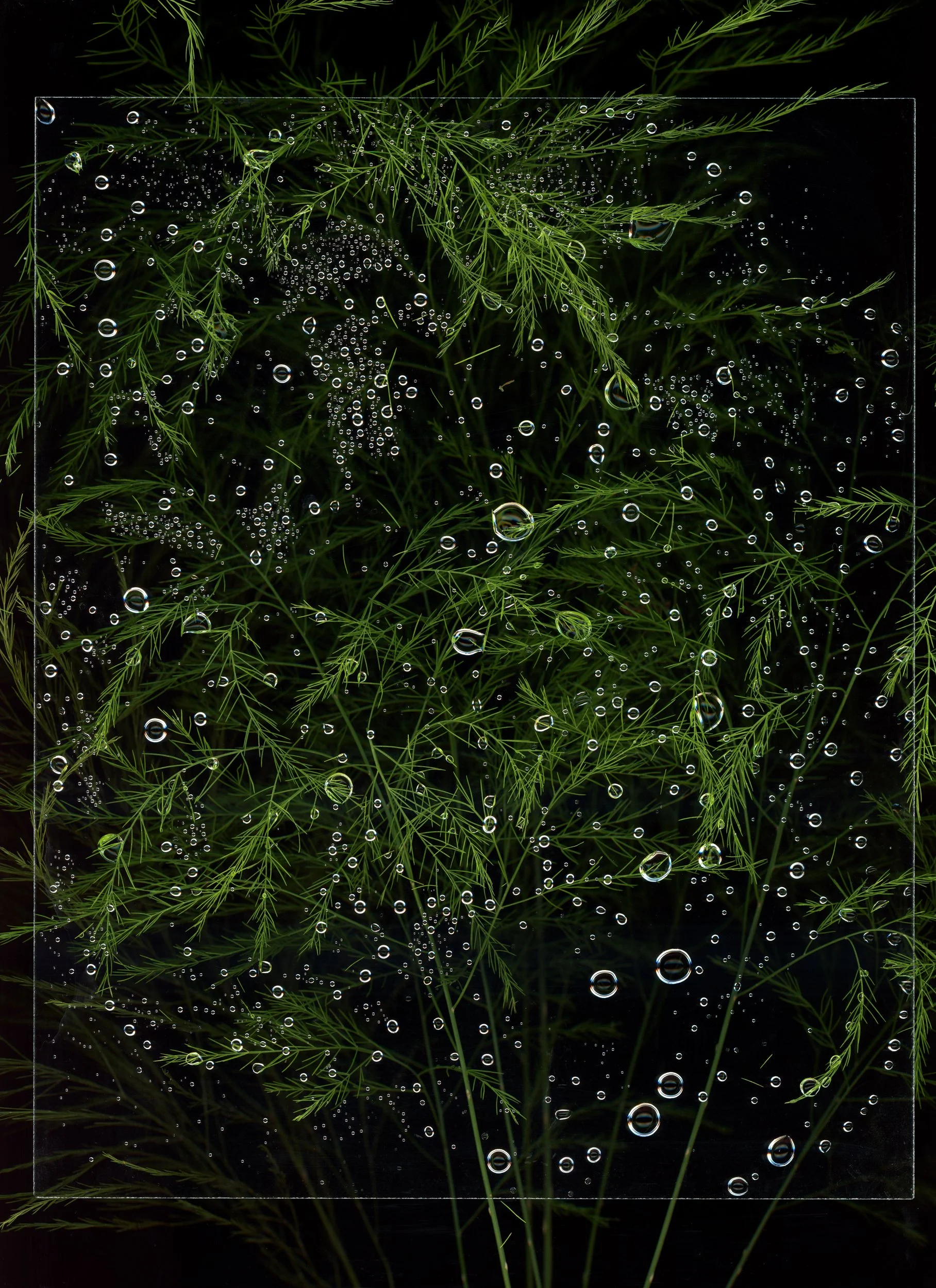 hfc_scan_20250704_12525650.jpg