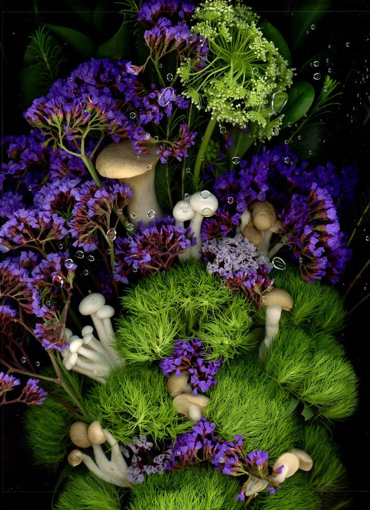 A colorful arrangement of purple, white, and green artificial flowers and mushrooms with water droplets. This image showcases botanicals using the scanography technique.