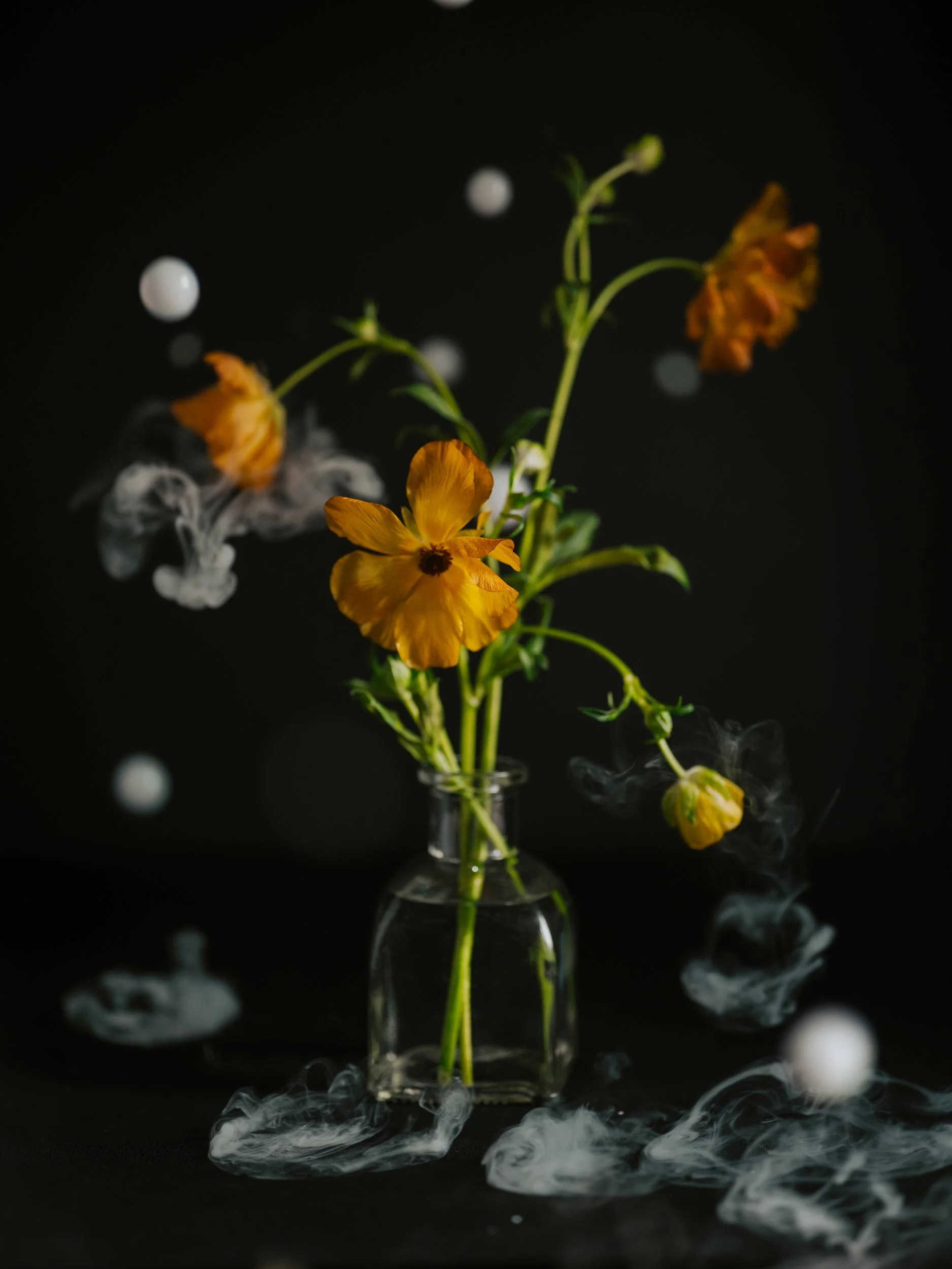 Haley_Nelson_Flower_Smoke_Final_Hasselblad_Content_Fine_Art_1_web-6.jpg