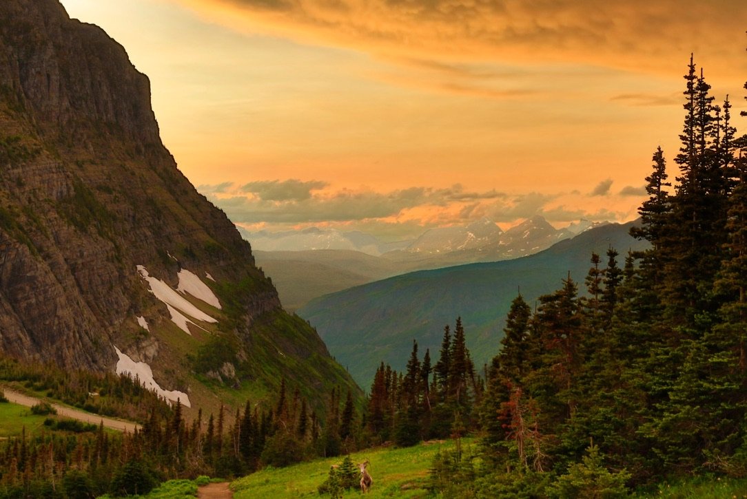 A scenic mountain landscape at sunset with a valley, trees, snow patches on the mountain slopes, and a small animal in the foreground.