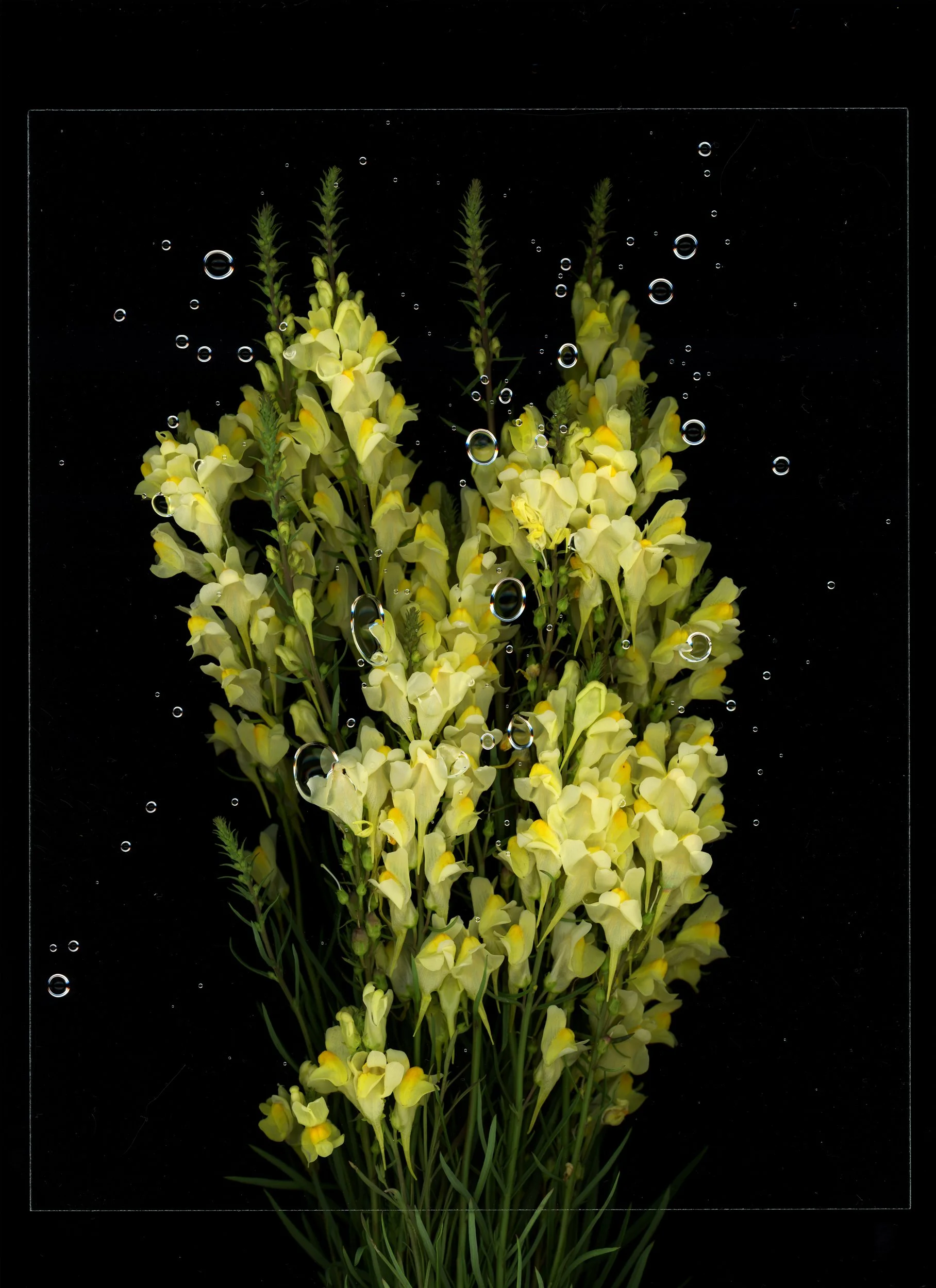 hfc_scan_20250707_20594488.jpg