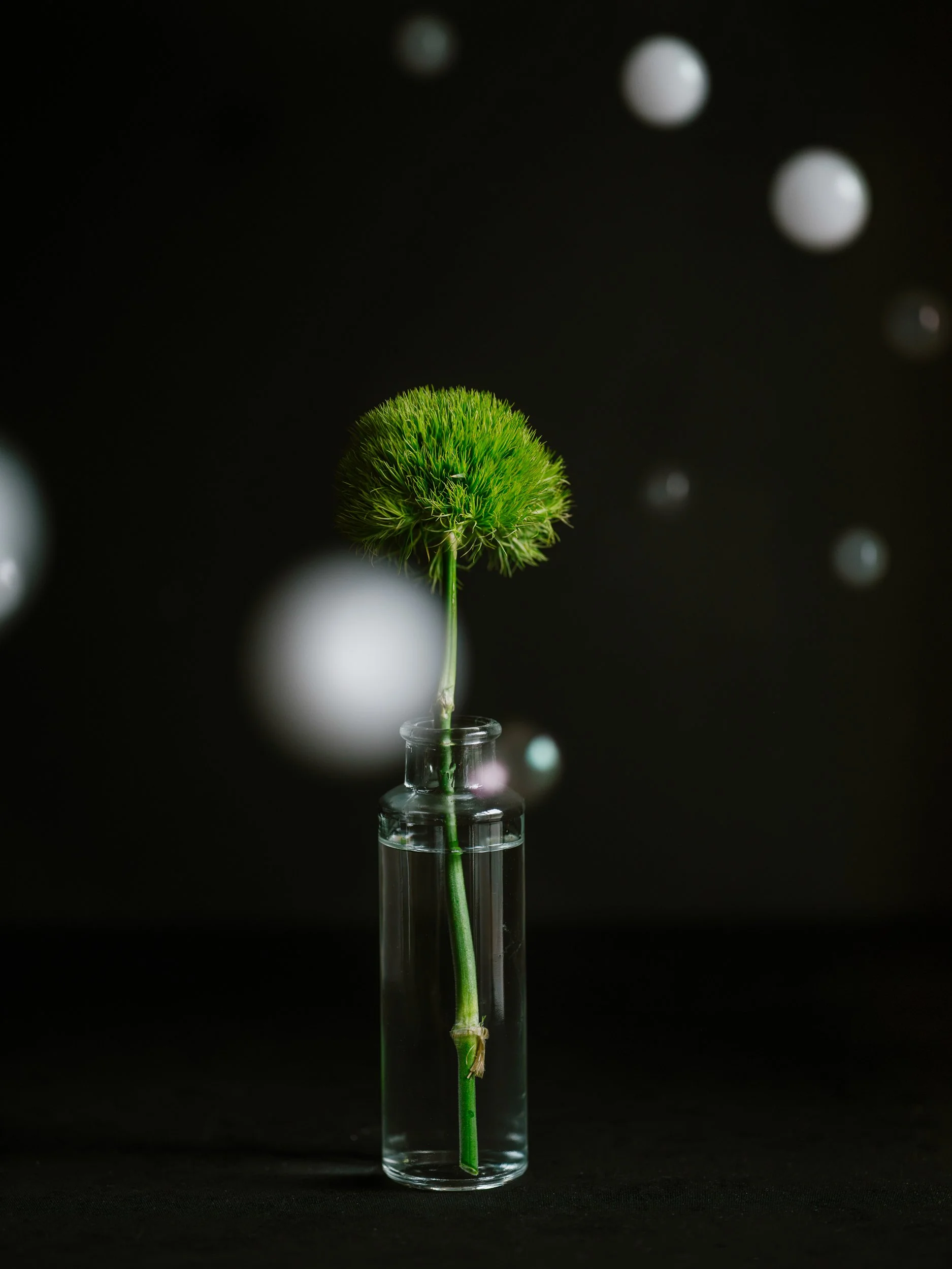 Haley_Nelson_Flower_Smoke_Final_Hasselblad_Content_Fine_Art_1_web-12.jpg