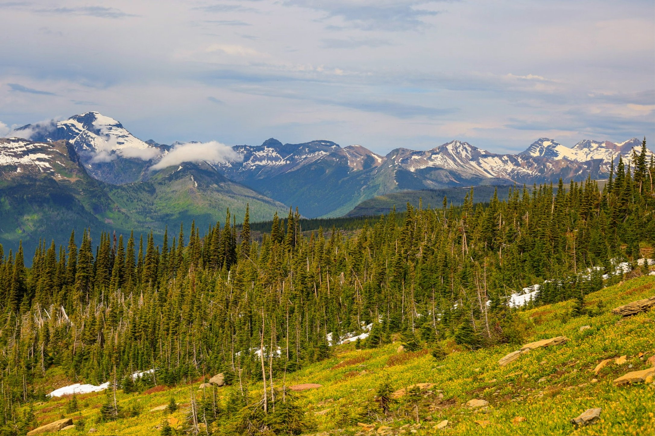 Mountain landscape with snow-capped peaks, dense green pine forests, and a partly cloudy sky.