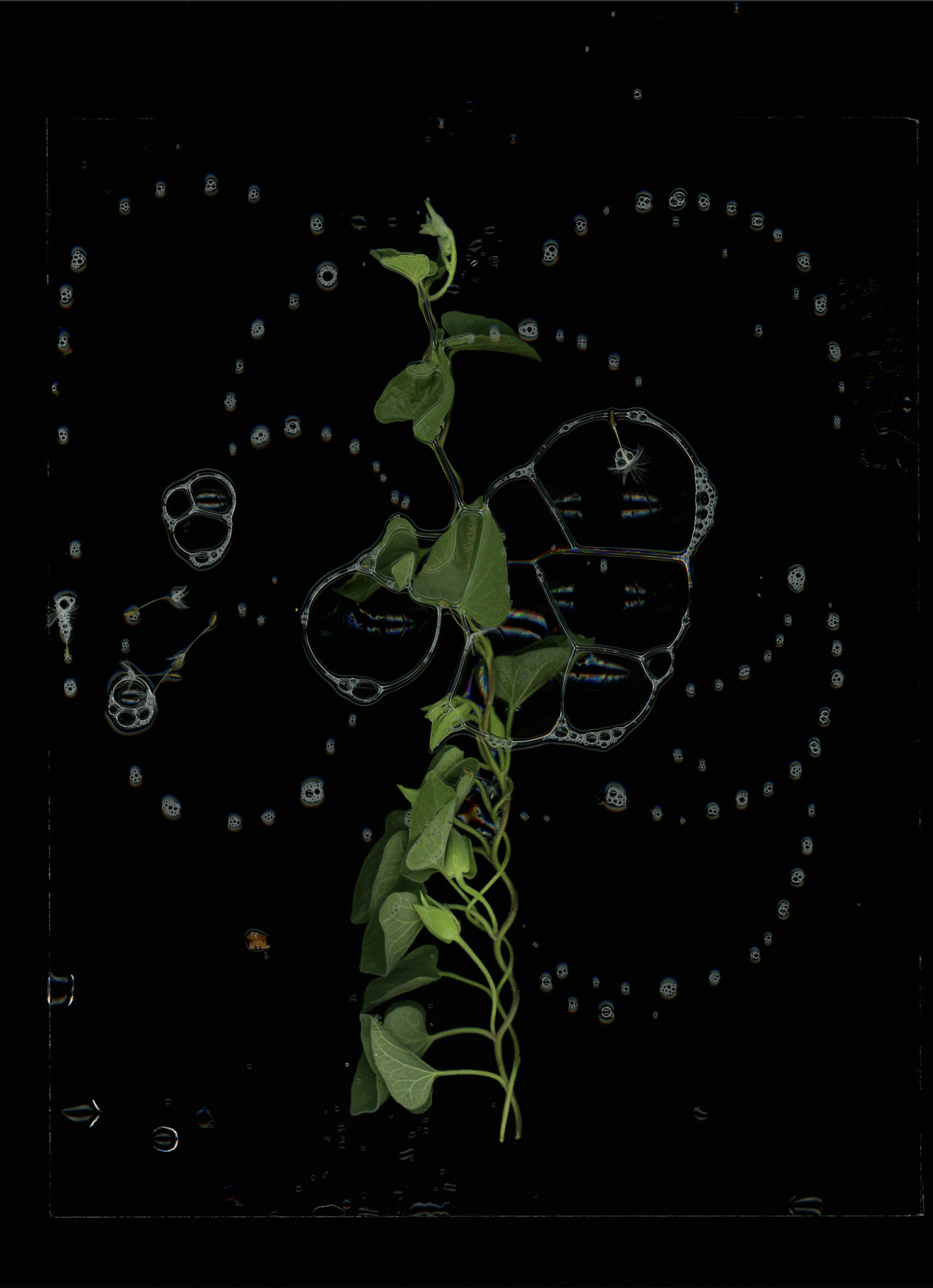 Screenshot 2026-02-12 at 4.52.28 PM.png
