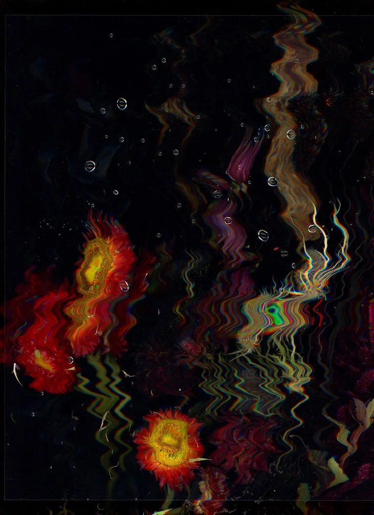 B647A15E-6C17-47C2-8B23-D5FBC1552203_1_105_c.jpeg