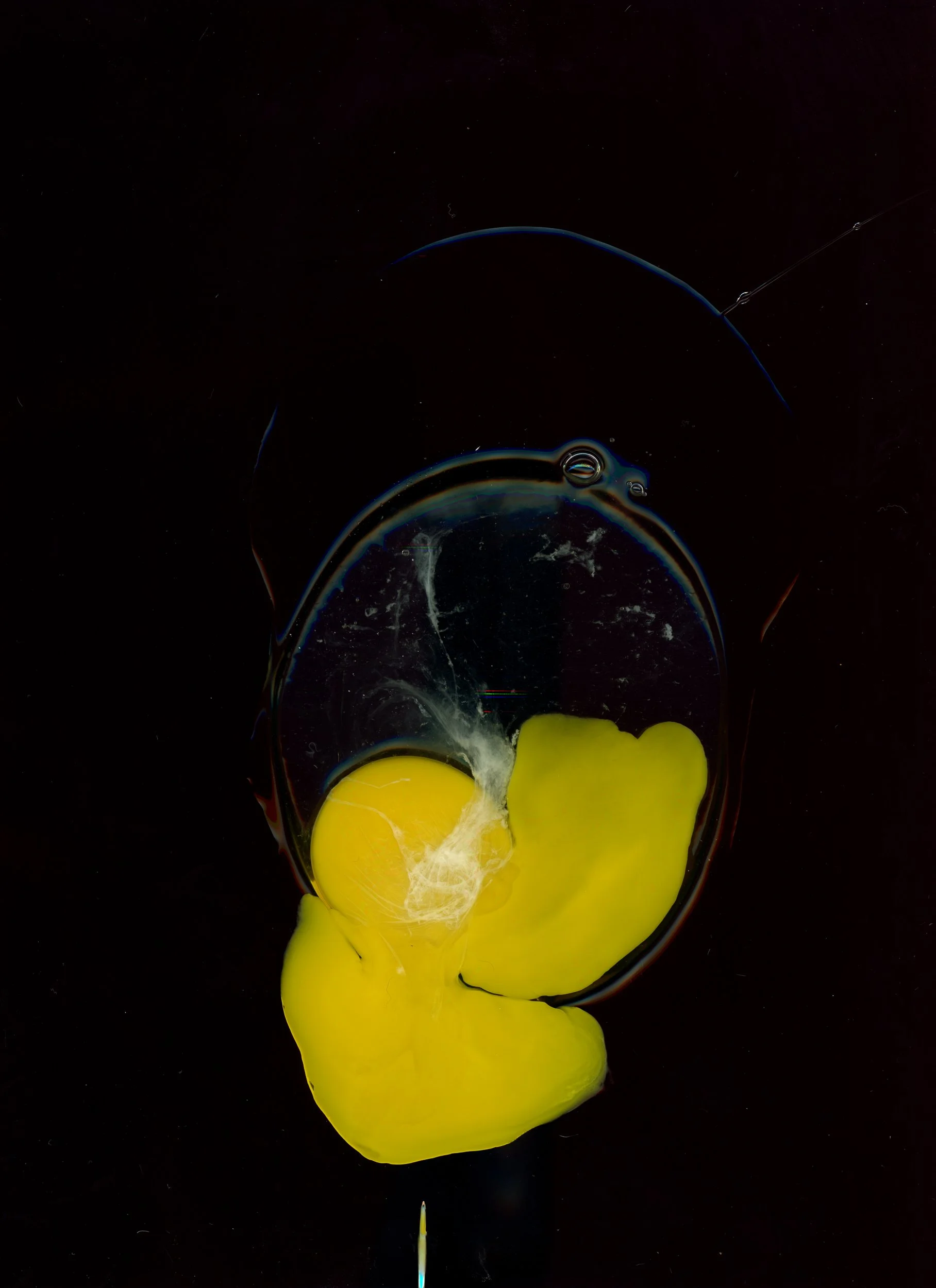 HN-RadScanz-PlzDontStealMyShit-BTS-NovemberFlowers_Day2_Scans2_Cookies_-10.jpg