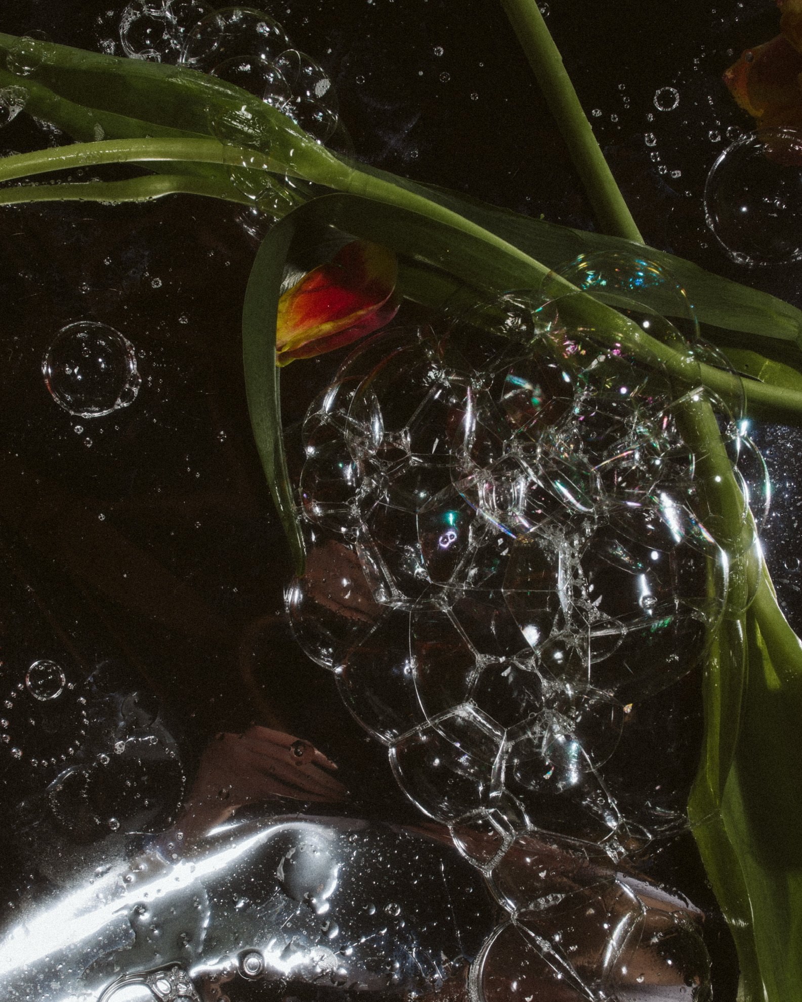 Close-up of bubble soap with a red and yellow tulip and green leaves on a dark surface.