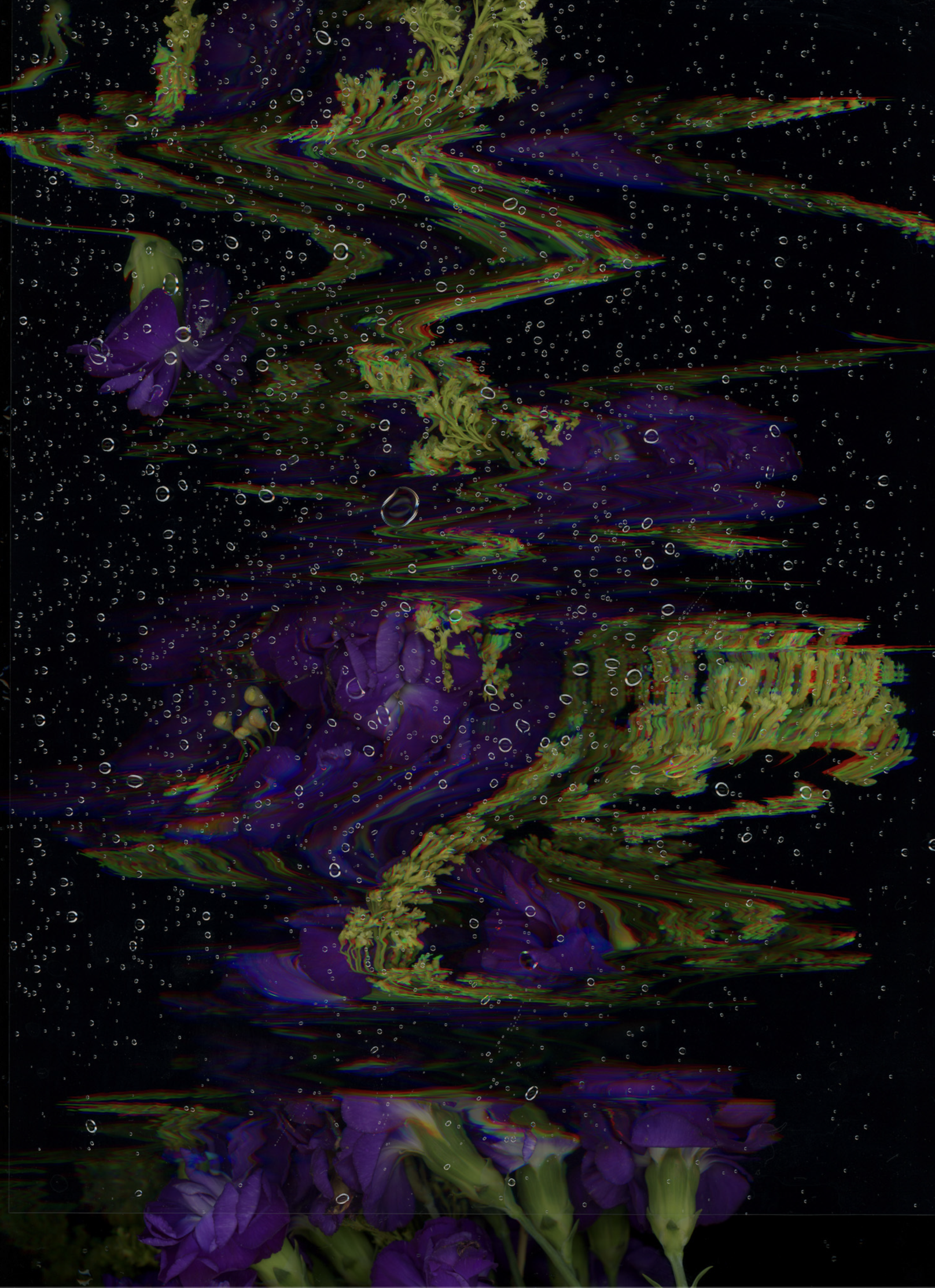 Screenshot 2026-02-12 at 4.50.46 PM.png