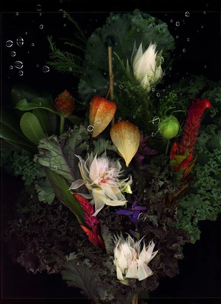 A diverse arrangement of flowers and greens submerged underwater, with bubbles rising to the surface. Captured using scanography. 