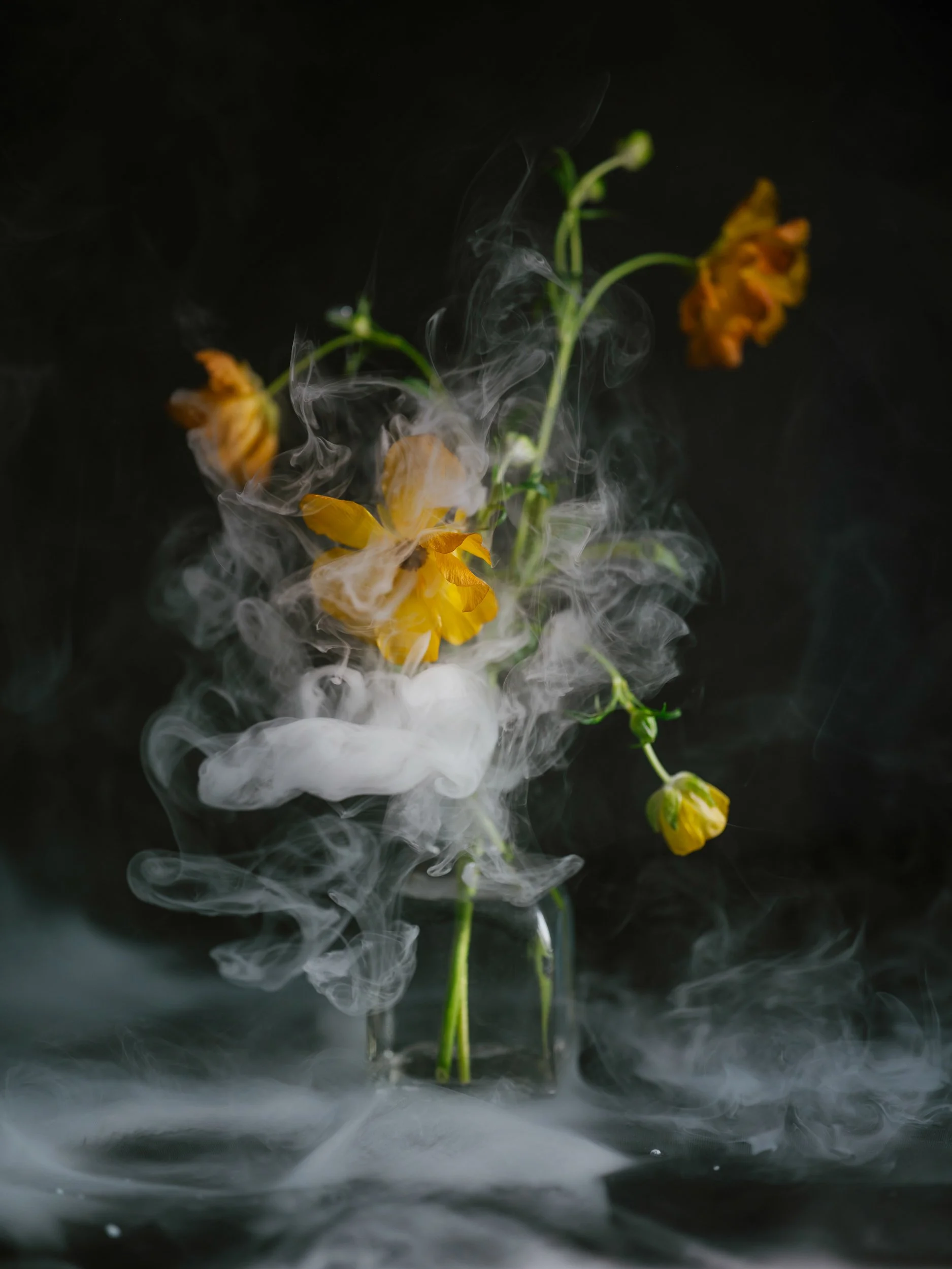 Haley_Nelson_Flower_Smoke_Final_Hasselblad_Content_Fine_Art_1_web-8.jpg