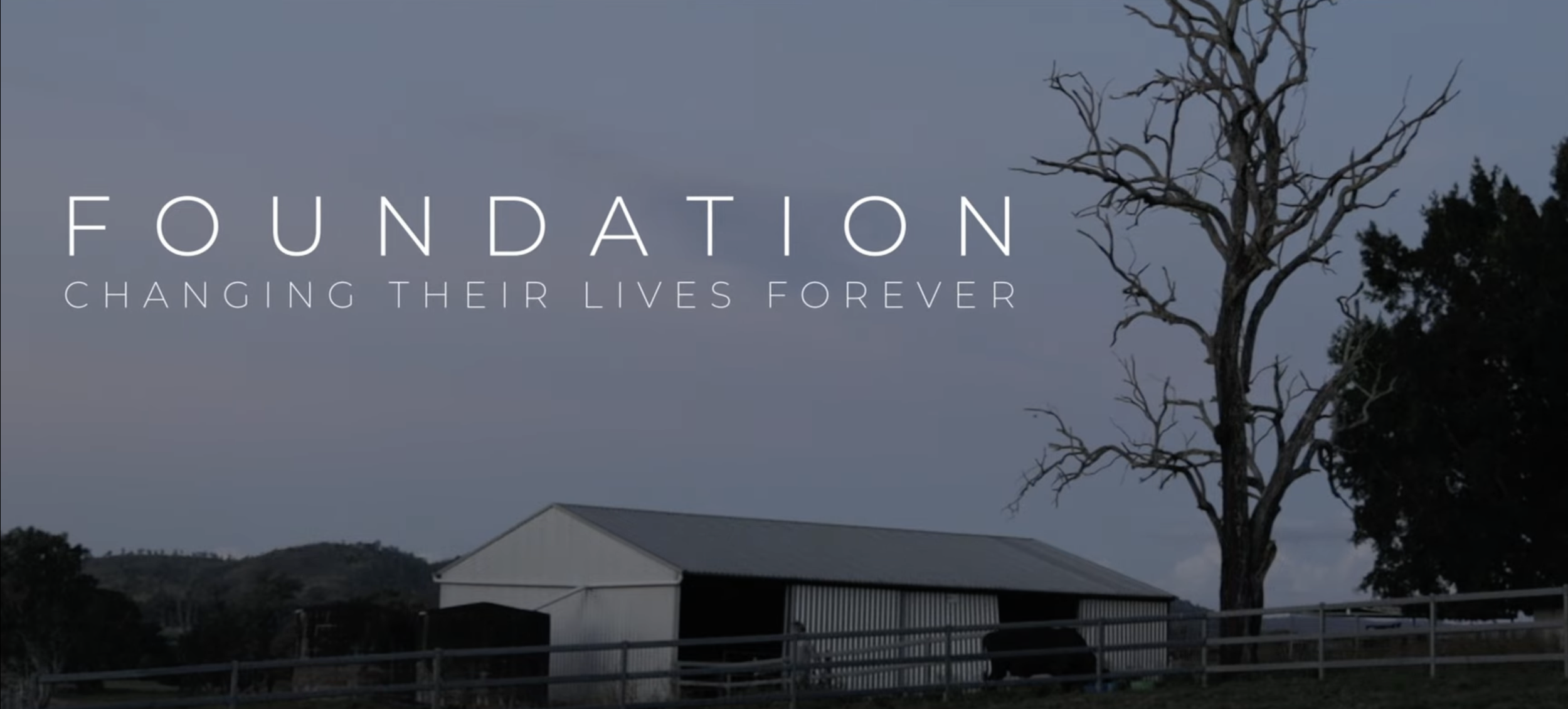 Foundation