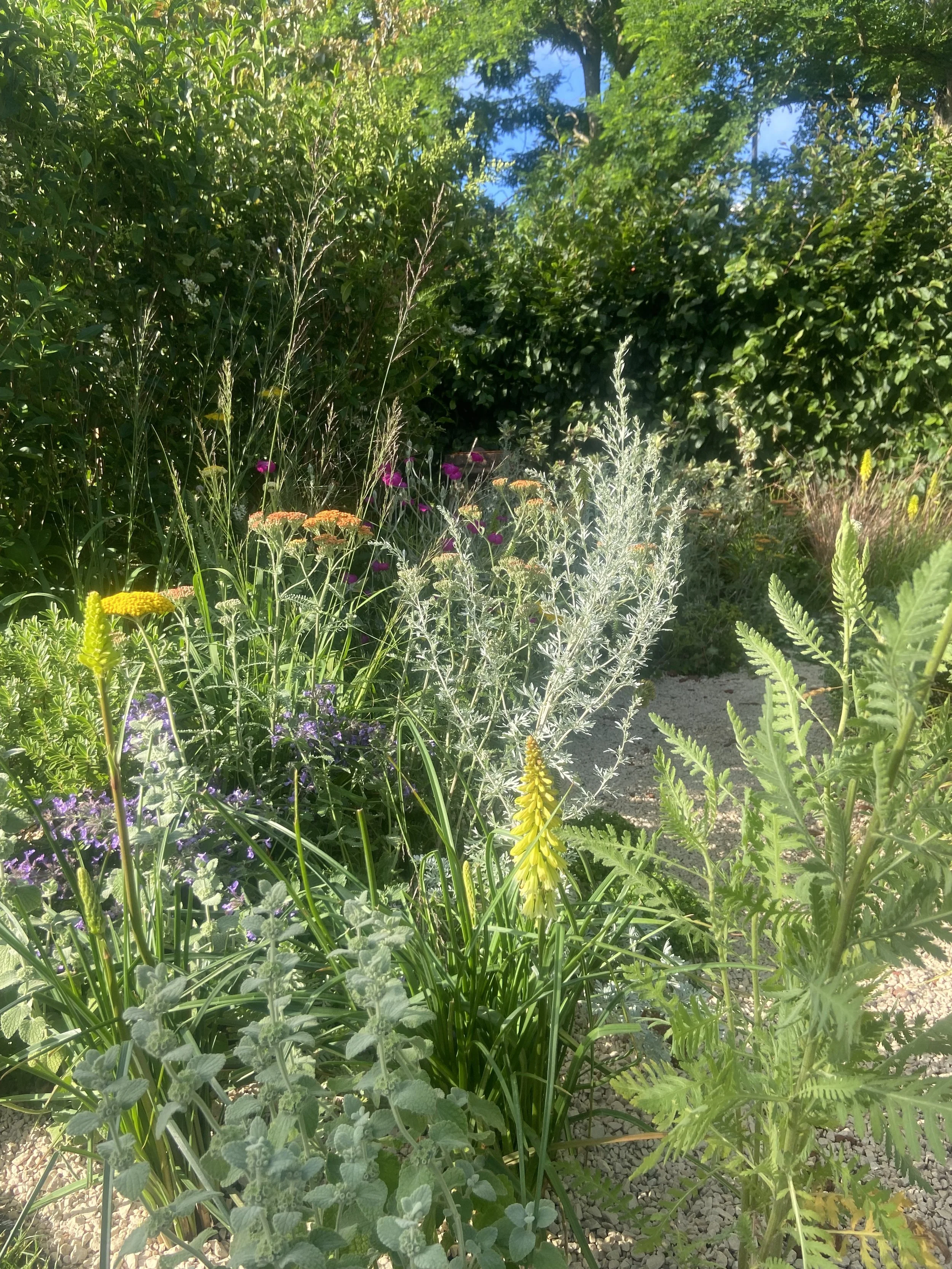 IMG_5187.jpeg
