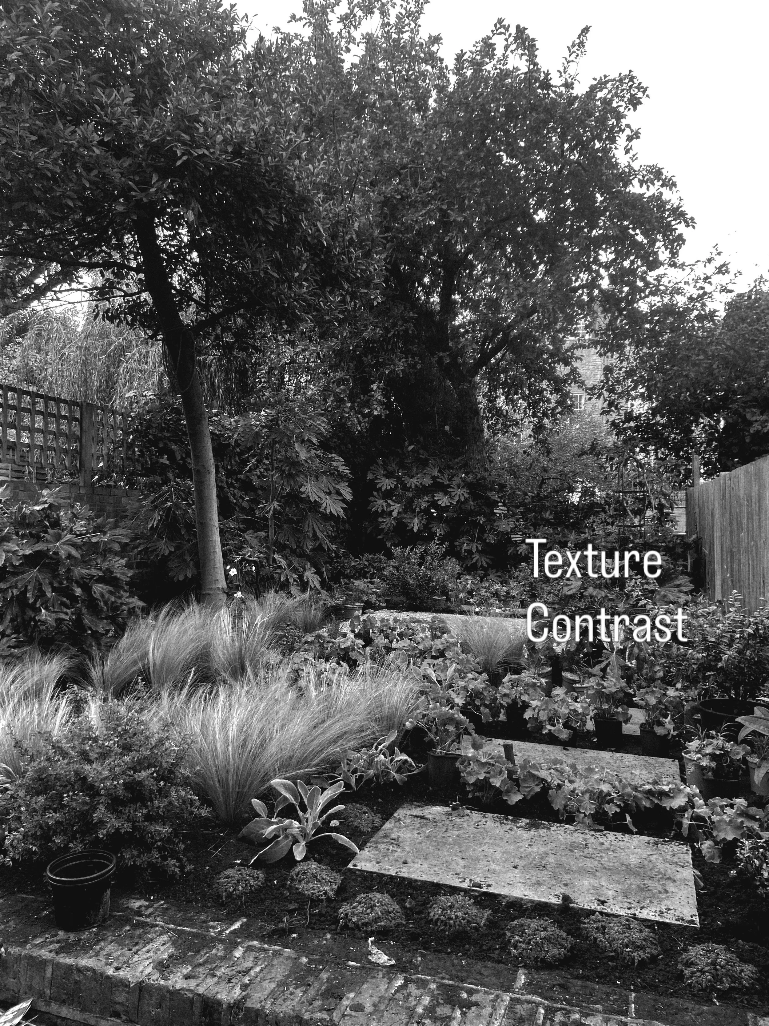 Small space planting benefits immensely from textural considerations, contrasting form and shape, anchoring and movement.
Plants onsite today in the Camden town garden with the first placings and key shrubs planted by @theo_c_h and Matt. We had a bit