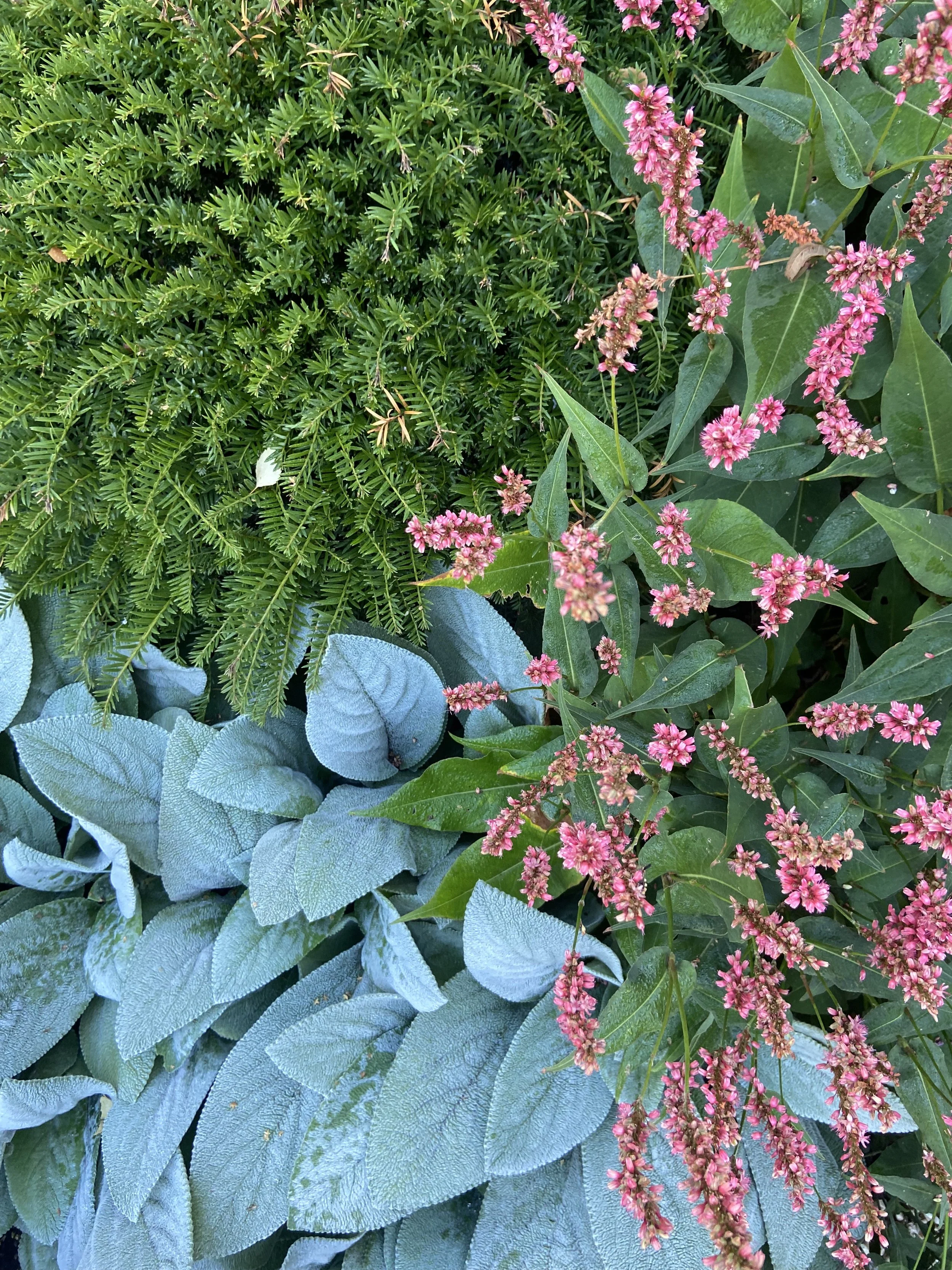 Planting and texture