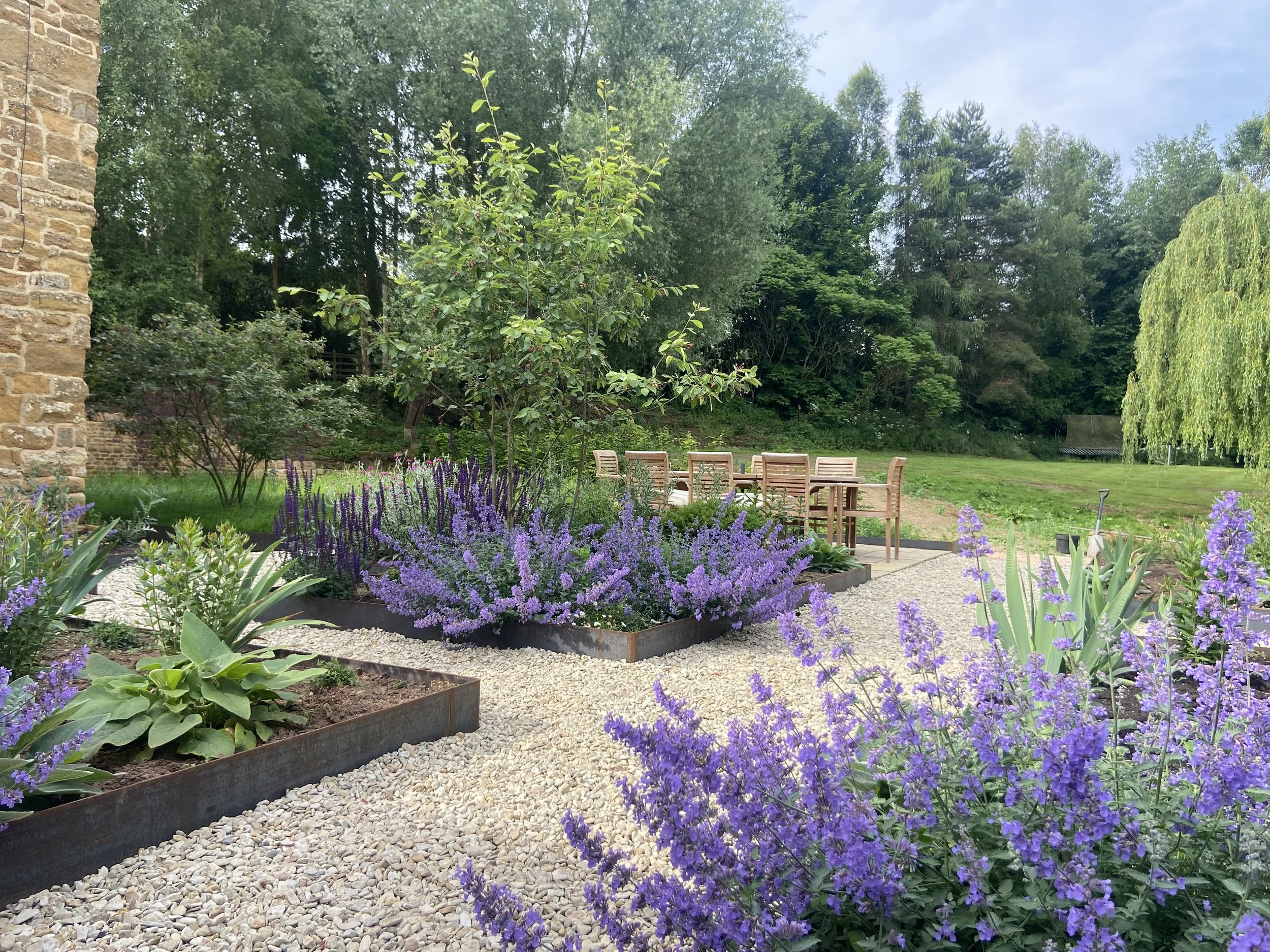 English Garden with purple flowers