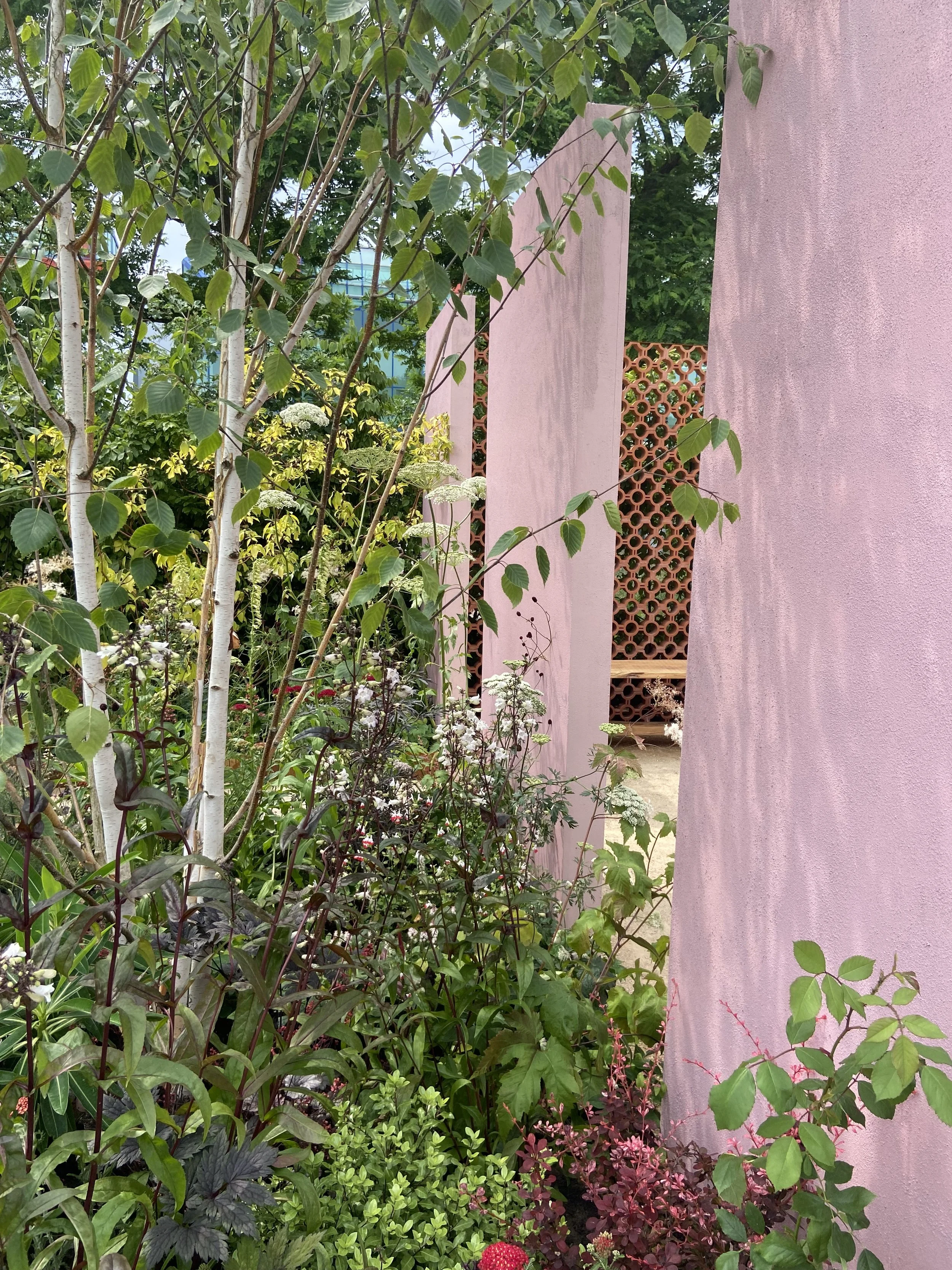 Pink walls with herbaceous planting