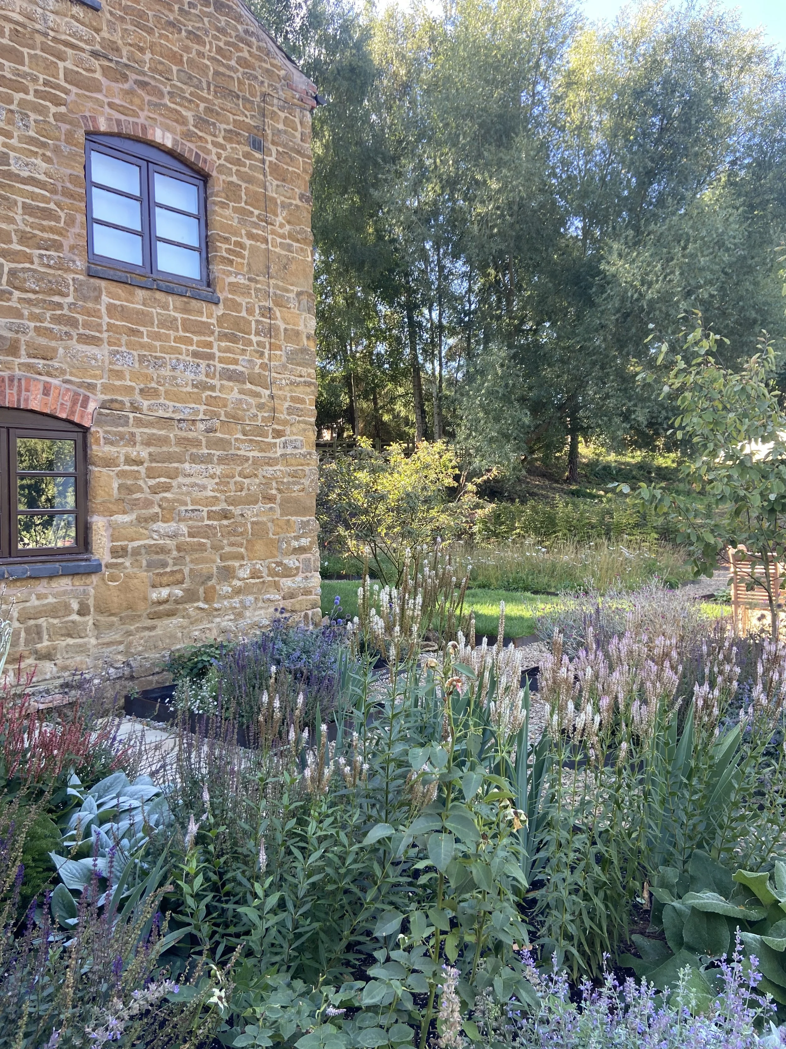 Late summer herbaceous planting