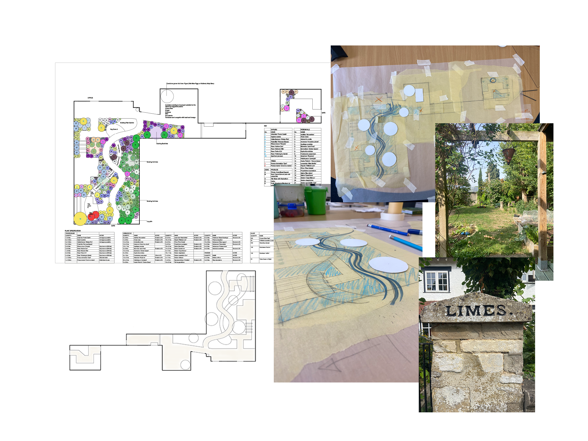 Cottage garden planting design