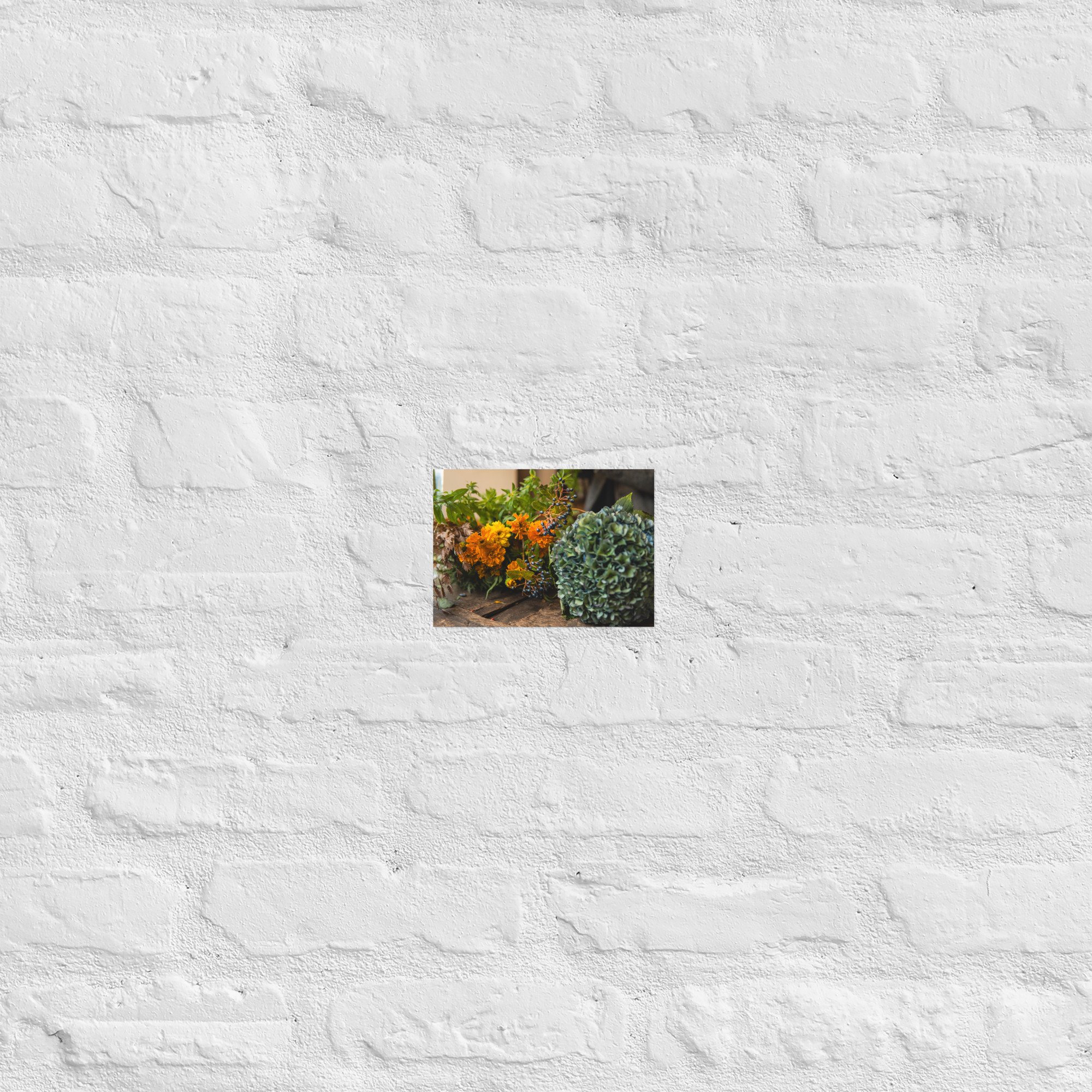 enhanced-matte-paper-poster-(in)-5x7-front-6579dafba1b9f.jpg