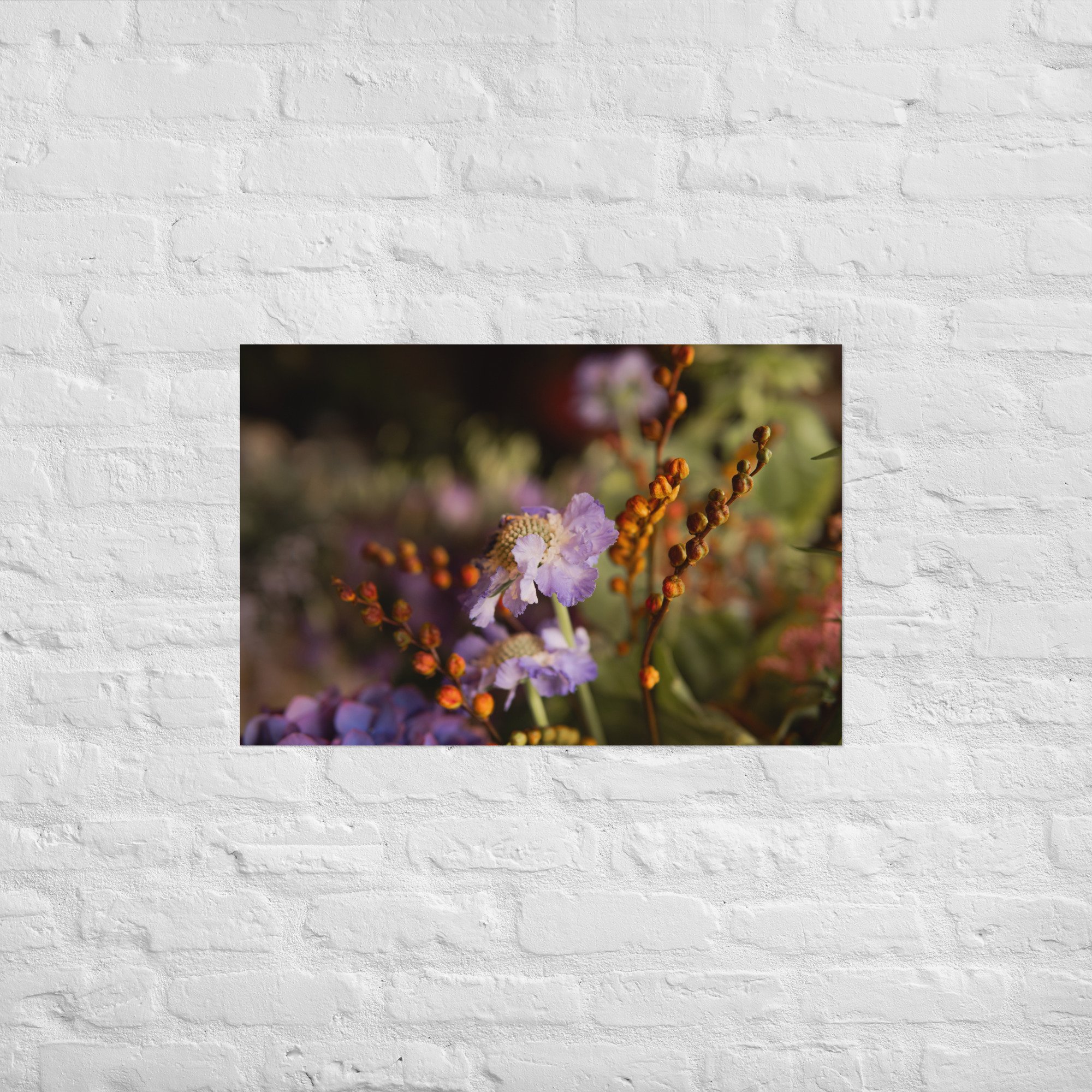 enhanced-matte-paper-poster-(in)-20x30-front-6579df61744a1.jpg