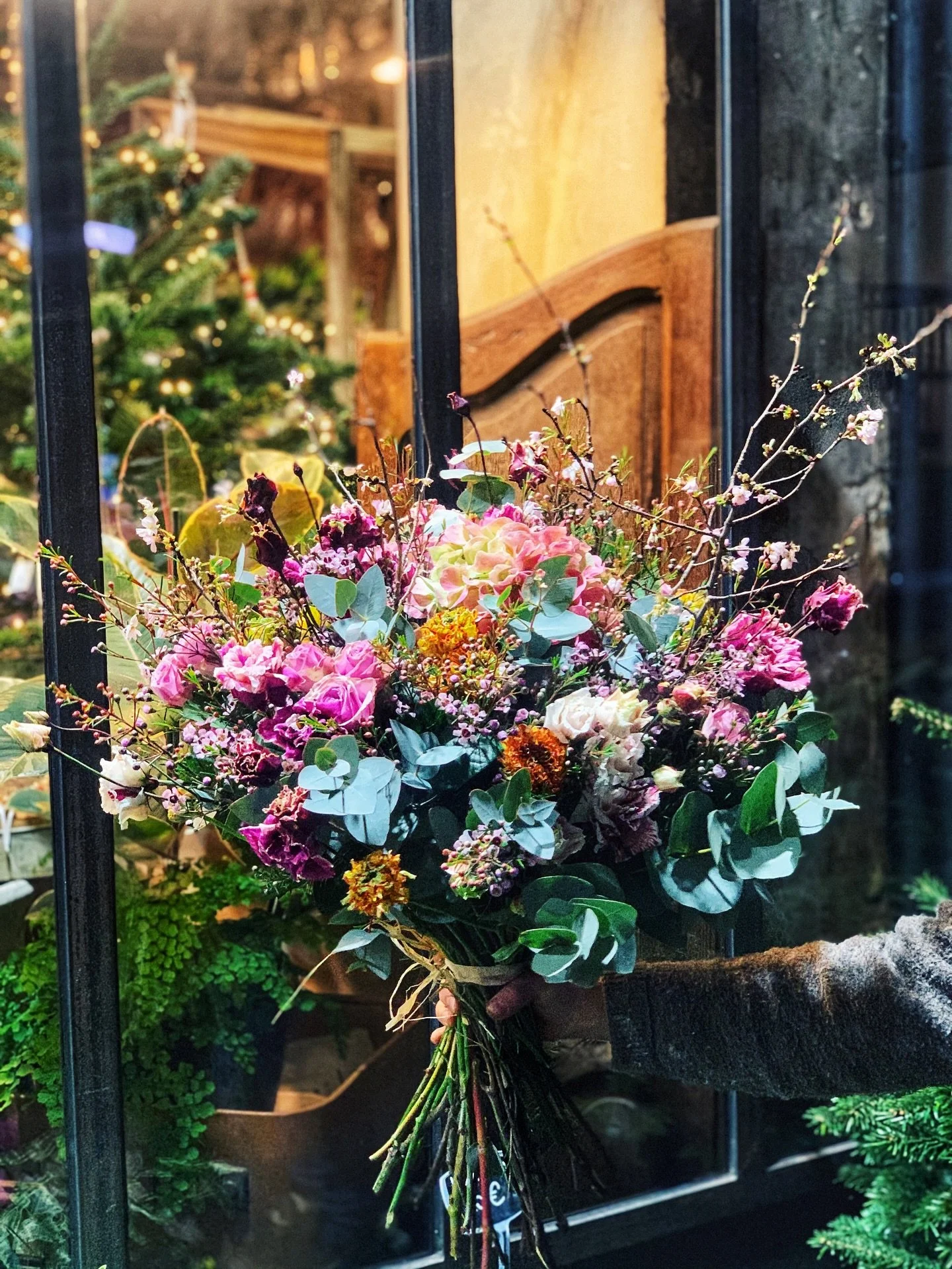 November by night 🍂