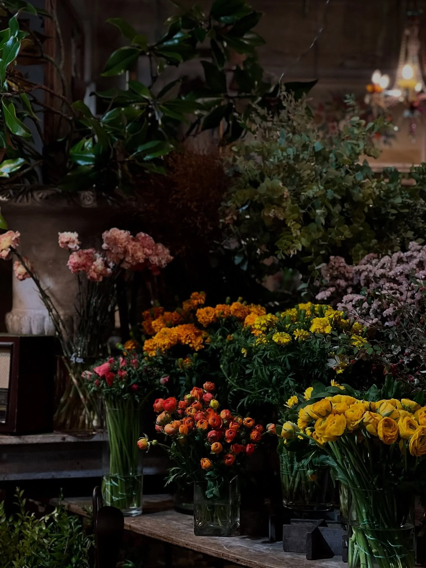 Evenings are for wandering into cozy flower shops 🌙

🇫🇷Les soir&eacute;es sont faites pour fl&acirc;ner dans de jolies boutiques de fleurs.