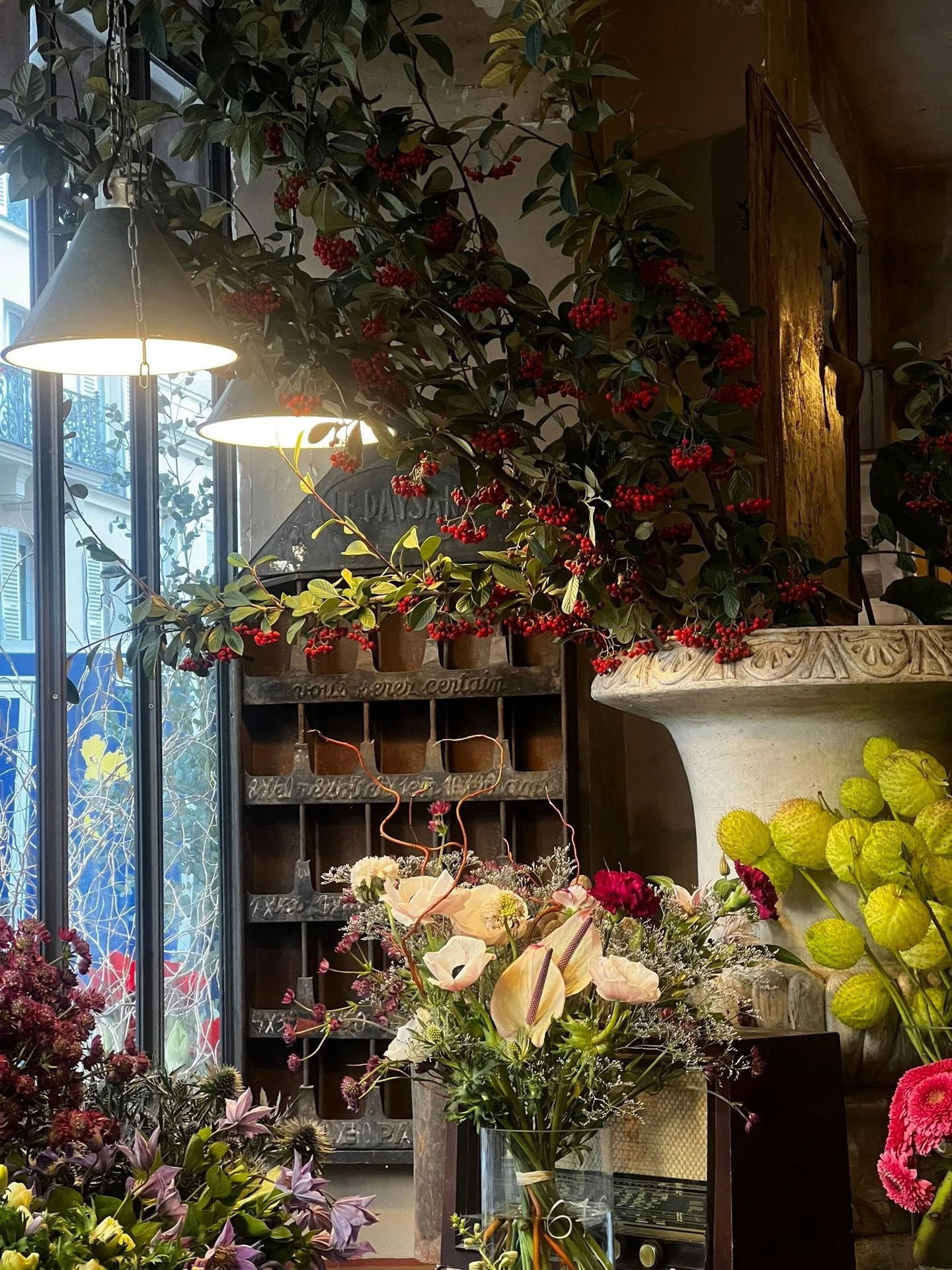 Flowers blooming at L&rsquo;arrosoir on the last day of the year 🥂