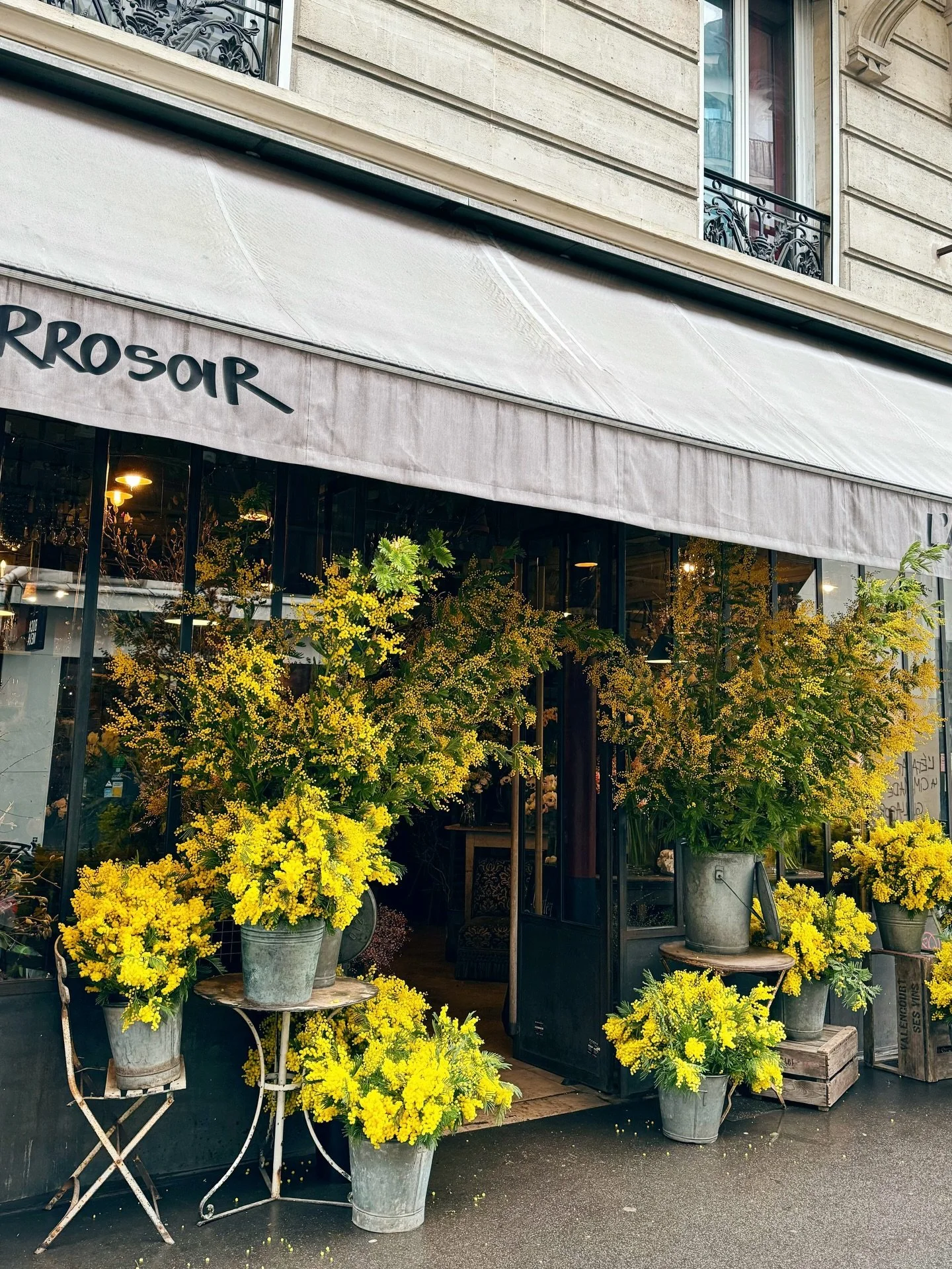 Dancing in the mimosa 🌙 

Open all weekend ✨