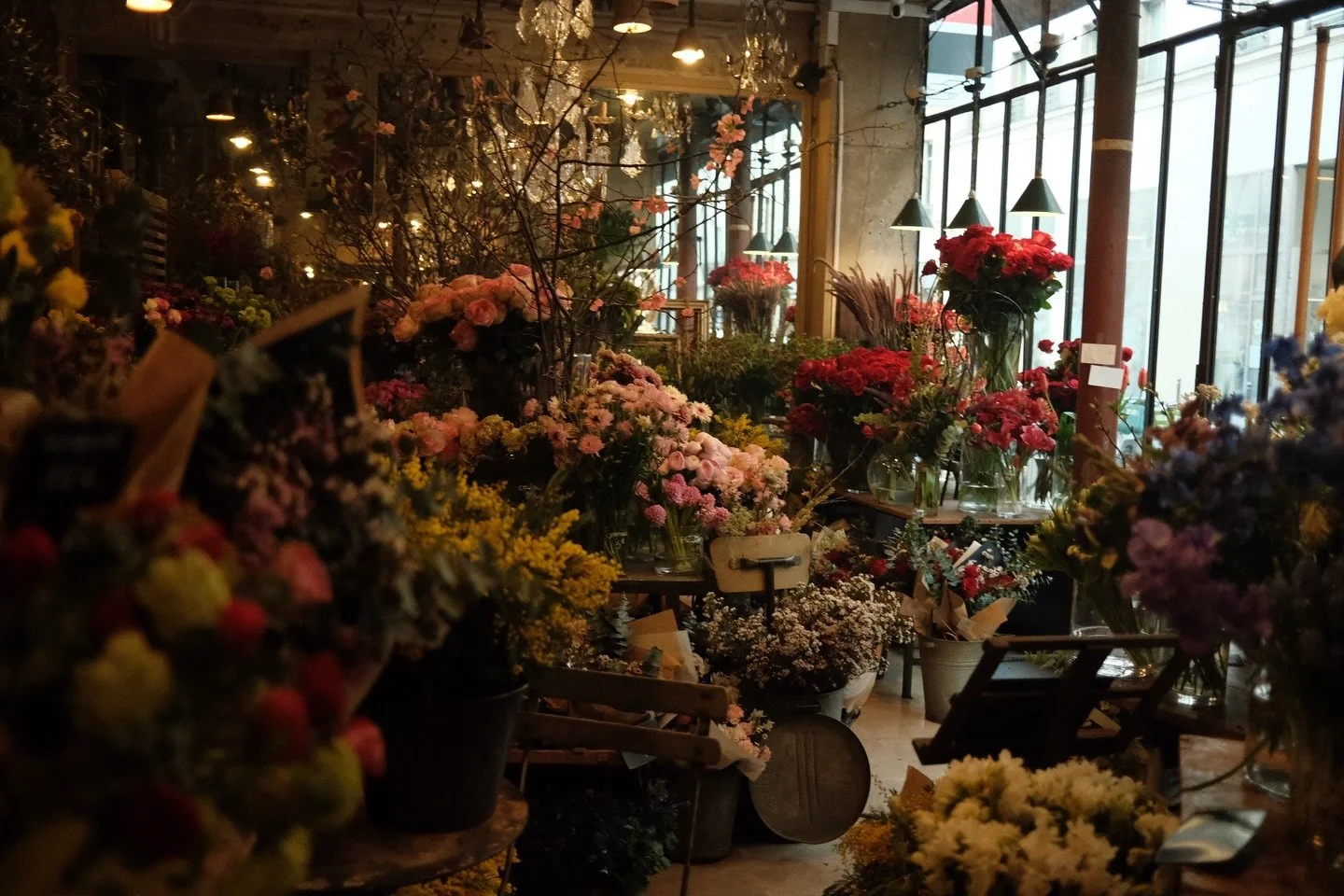 Step into our universe ✨