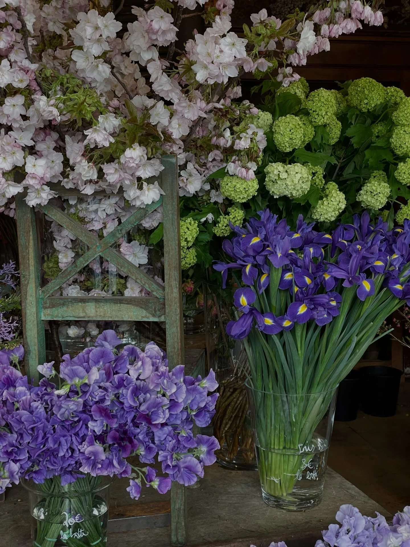 Subtle signs of spring ✨