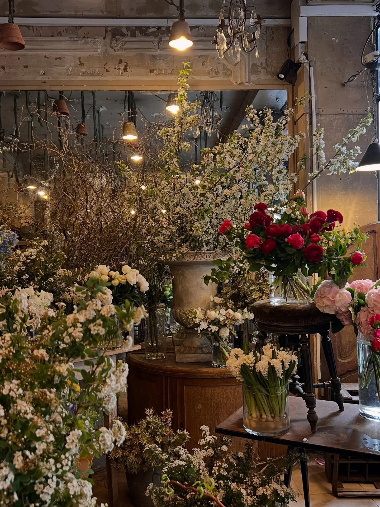 Jardin extraordinaire ✨