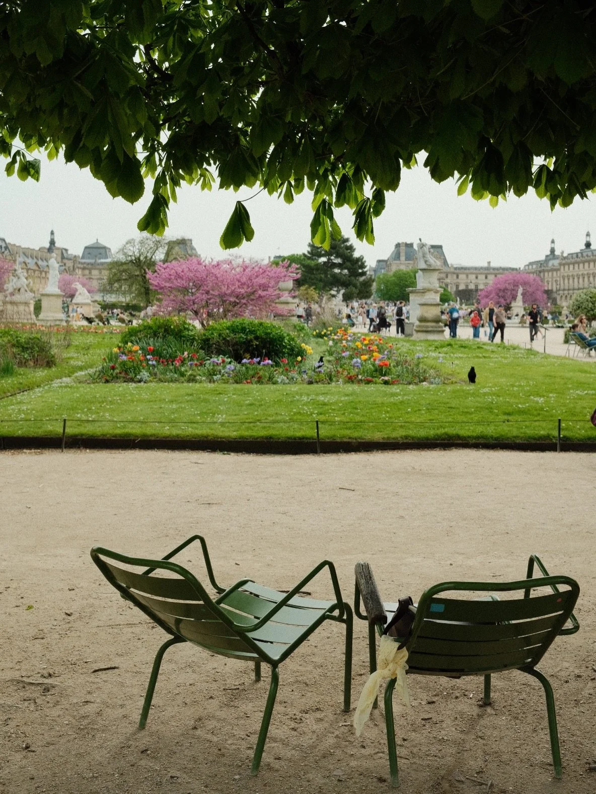 Paris is blooming 🌸
