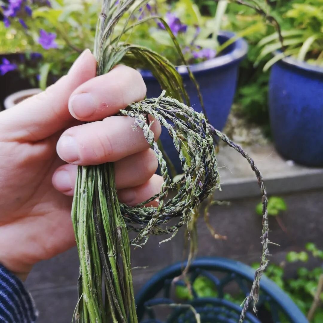 Fancy learning to make string from natural or waste materials? Local crafter, forager and gardener @jo_at_fablestitch will be hosting a workshop as part of our free event on Saturday 30th July. Here we have nettle, swipe to see rhubarb string and the