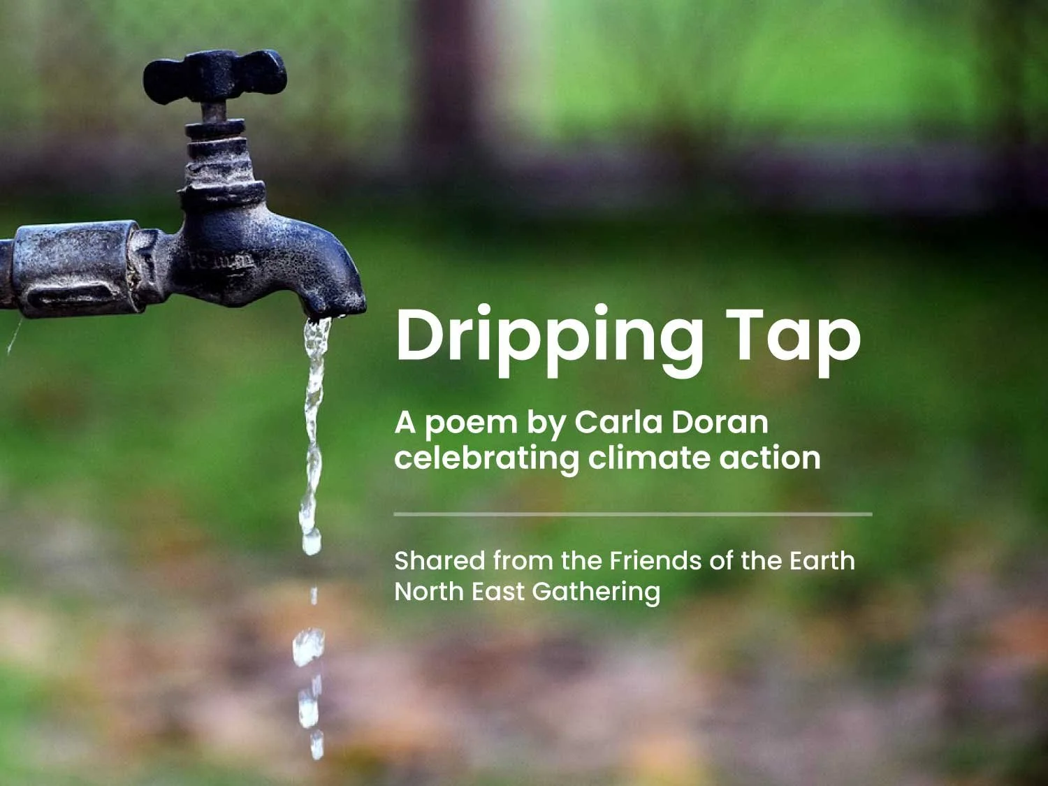 'Dripping Tap' - a poem celebrating climate action by Carla Doran
