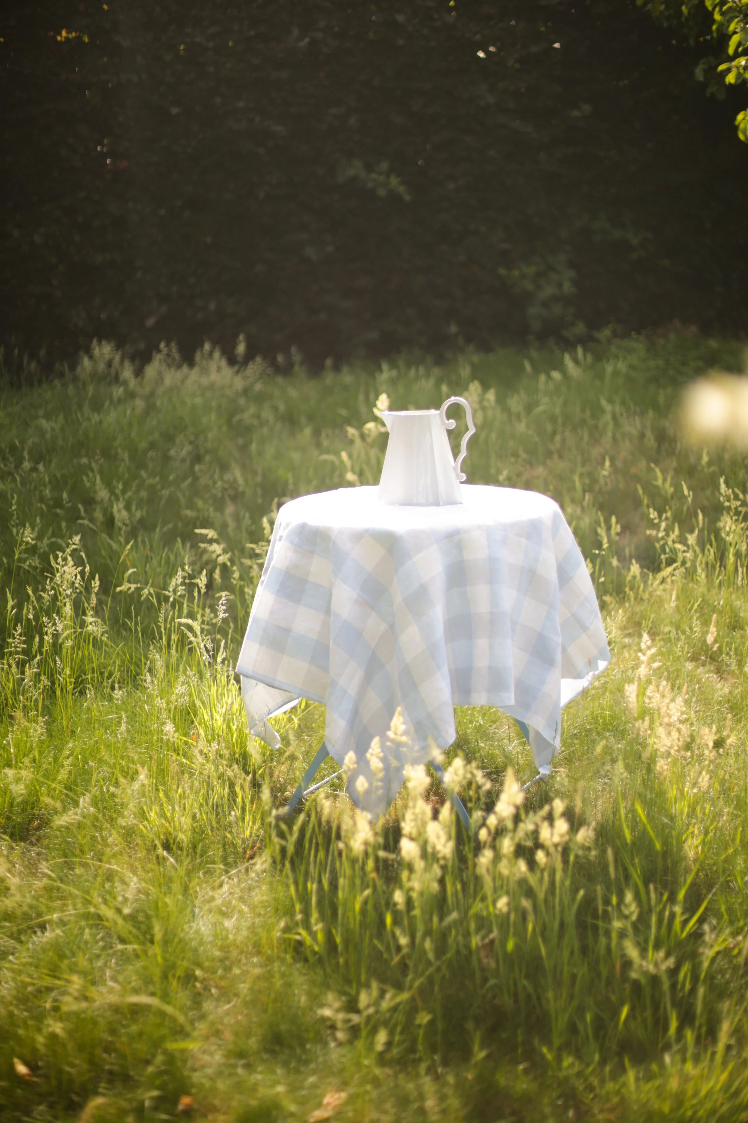 A Blue gingham tablecloth
